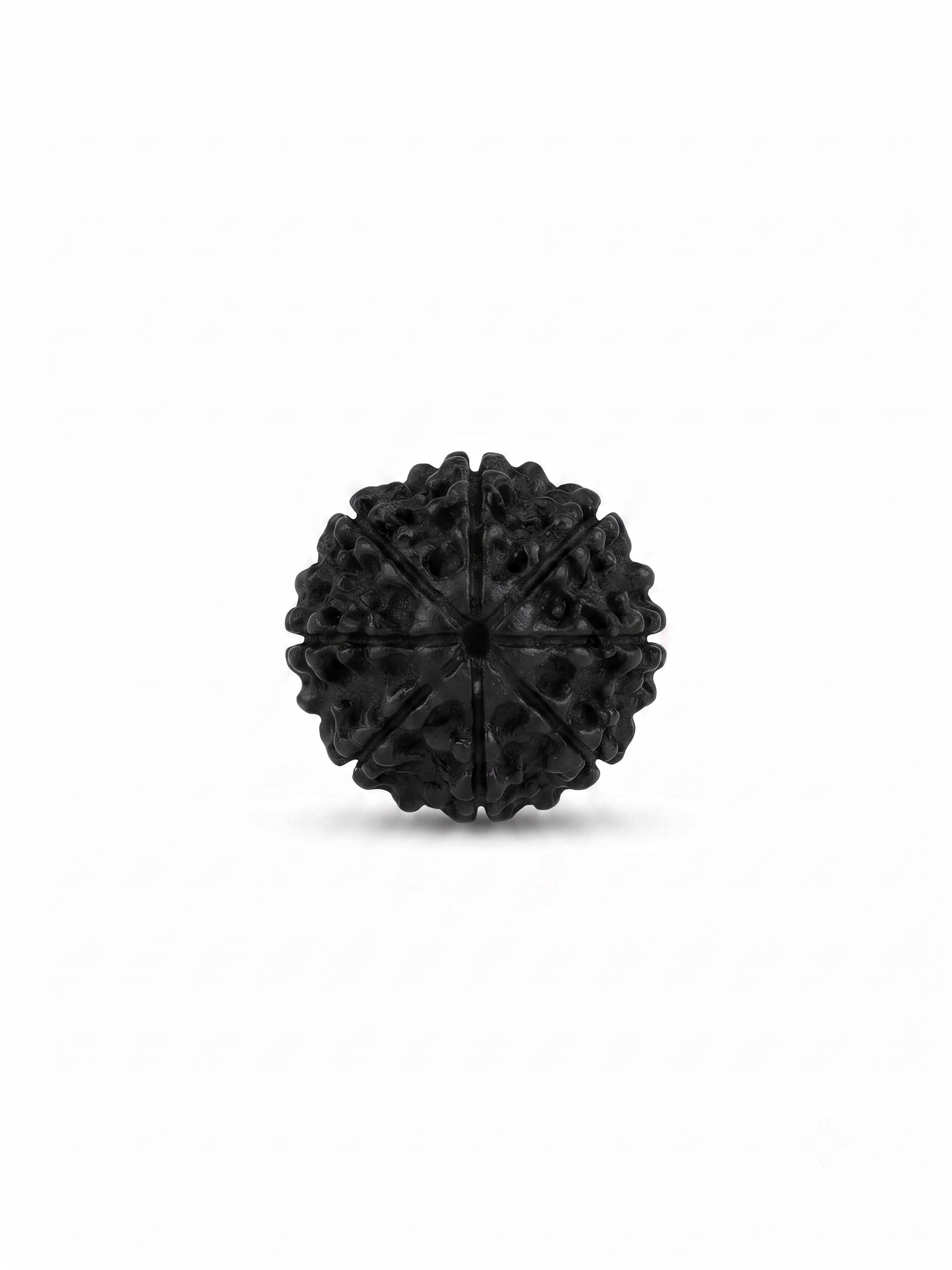 Natural 8 Mukhi Rudraksha (Eight Faced Rudraksha) | Original Certified Nepali Rudraksha Bead - Image 3