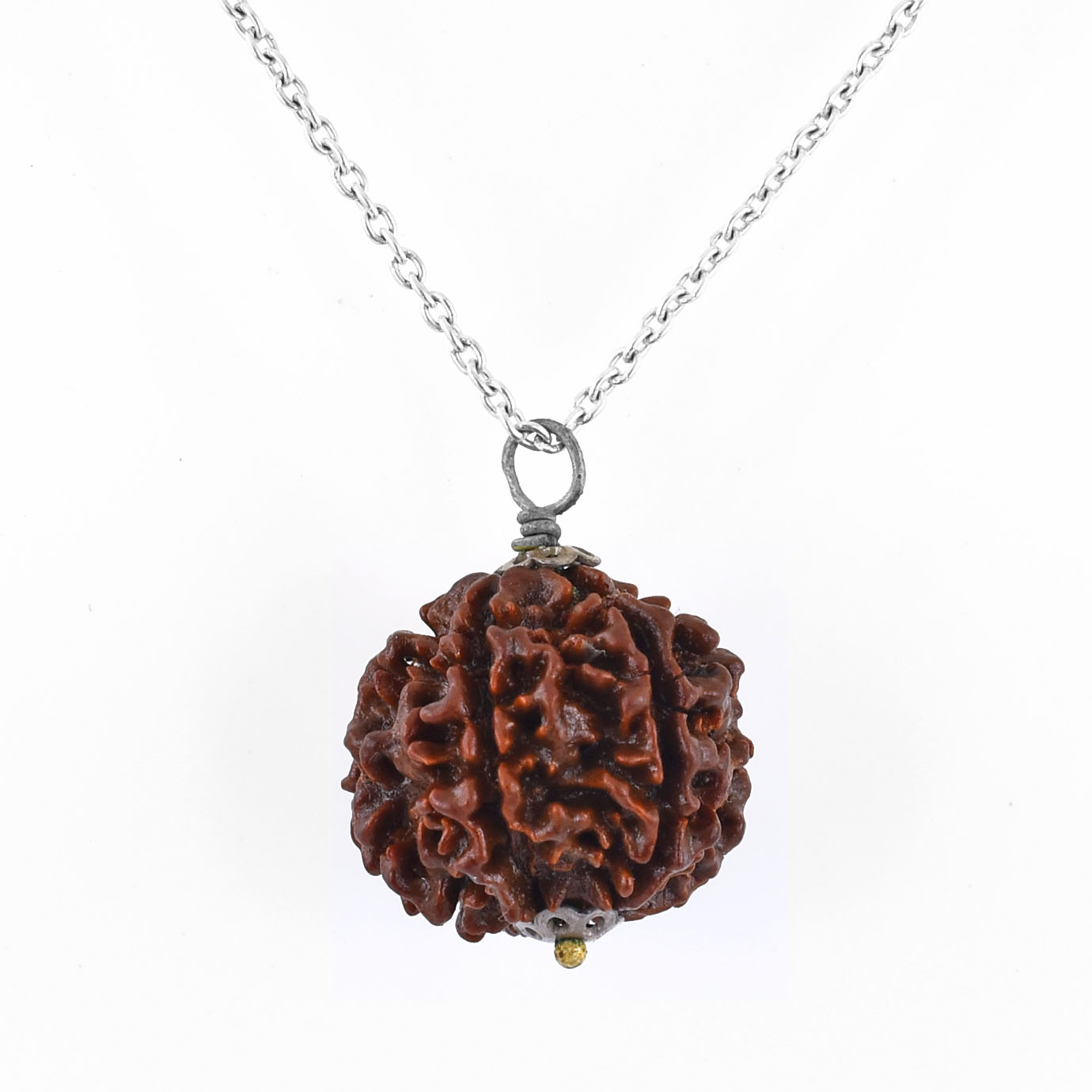 Natural 6 Mukhi Rudraksha Pendant – Original Six Faced Sacred Rudraksha Pendant for Confidence, Wisdom & Spiritual Growth - Image 5