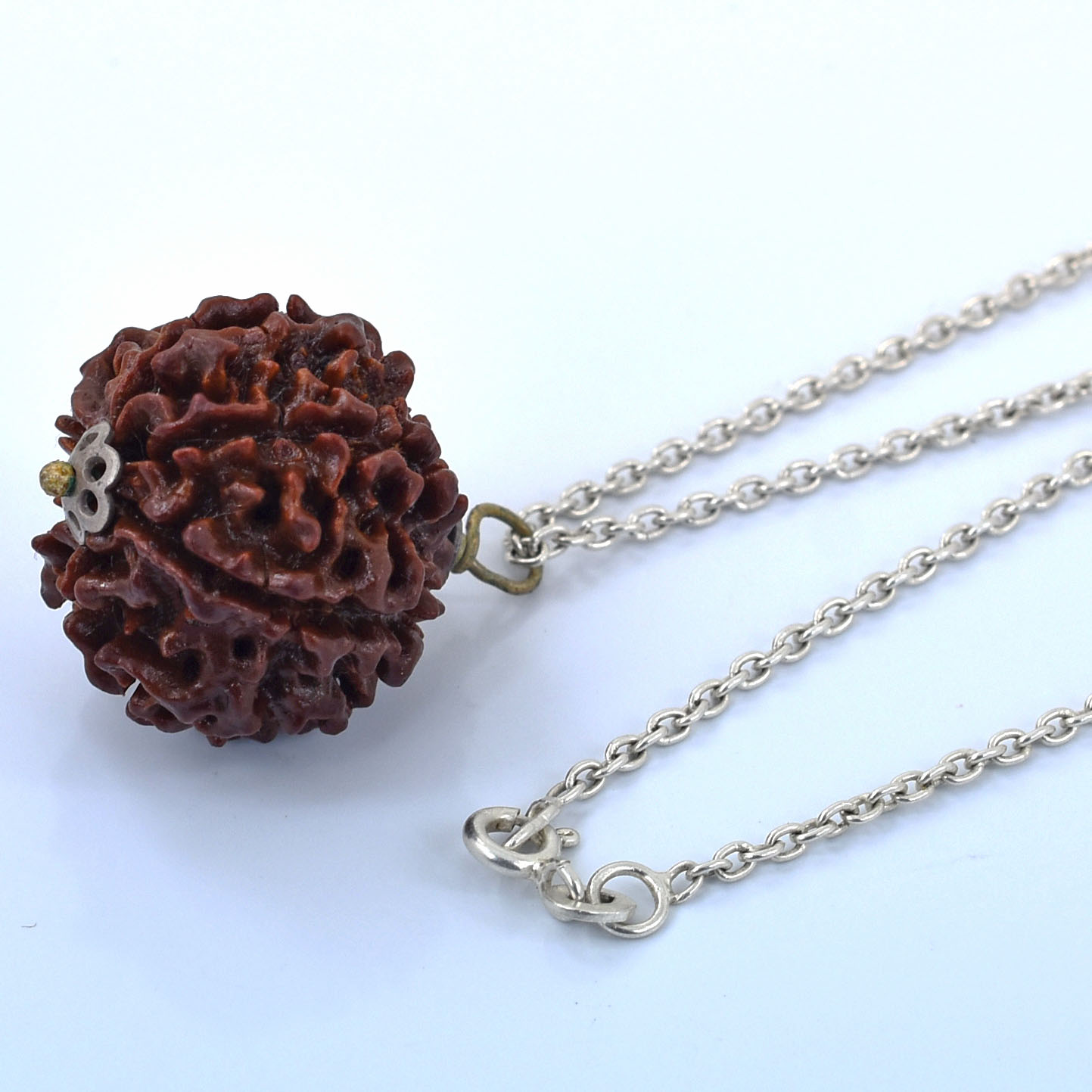 Natural 6 Mukhi Rudraksha Pendant – Original Six Faced Sacred Rudraksha Pendant for Confidence, Wisdom & Spiritual Growth - Image 2