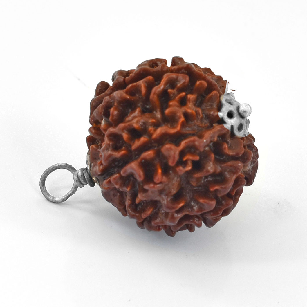 Natural 6 Mukhi Rudraksha Pendant – Original Six Faced Sacred Rudraksha Pendant for Confidence, Wisdom & Spiritual Growth - Image 3