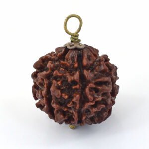 Natural 6 Mukhi Rudraksha Pendant – Original Six Faced Sacred Rudraksha Pendant for Confidence, Wisdom & Spiritual Growth