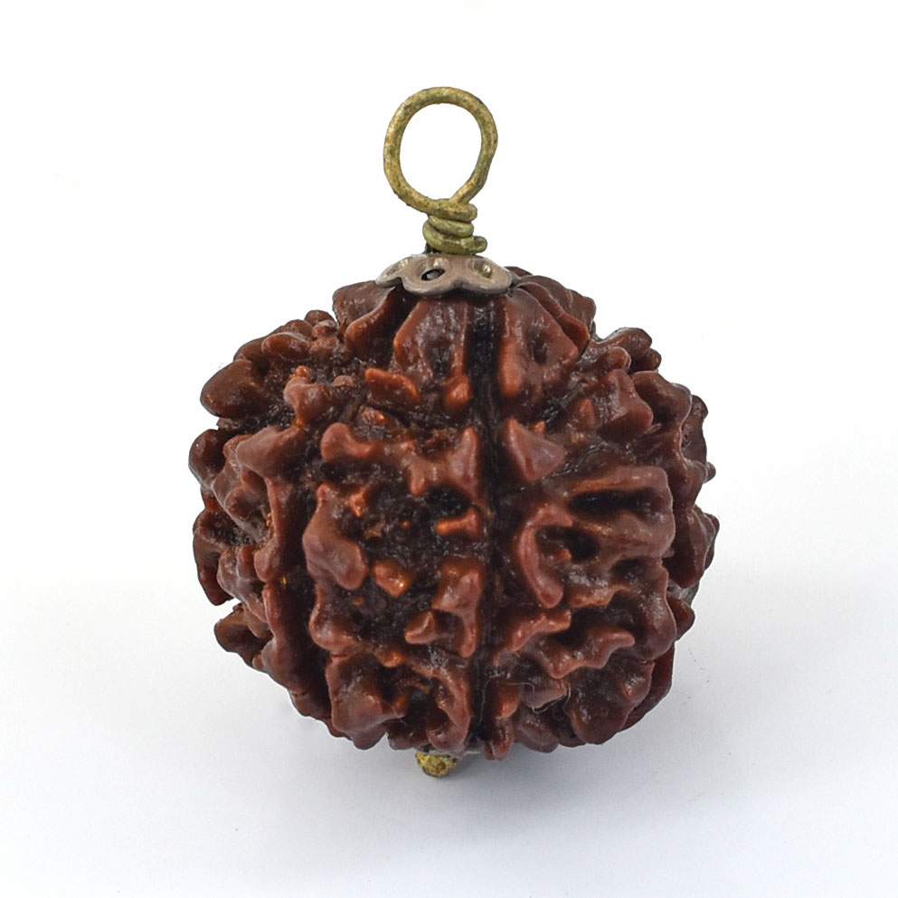 Natural 6 Mukhi Rudraksha Pendant – Original Six Faced Sacred Rudraksha Pendant for Confidence, Wisdom & Spiritual Growth