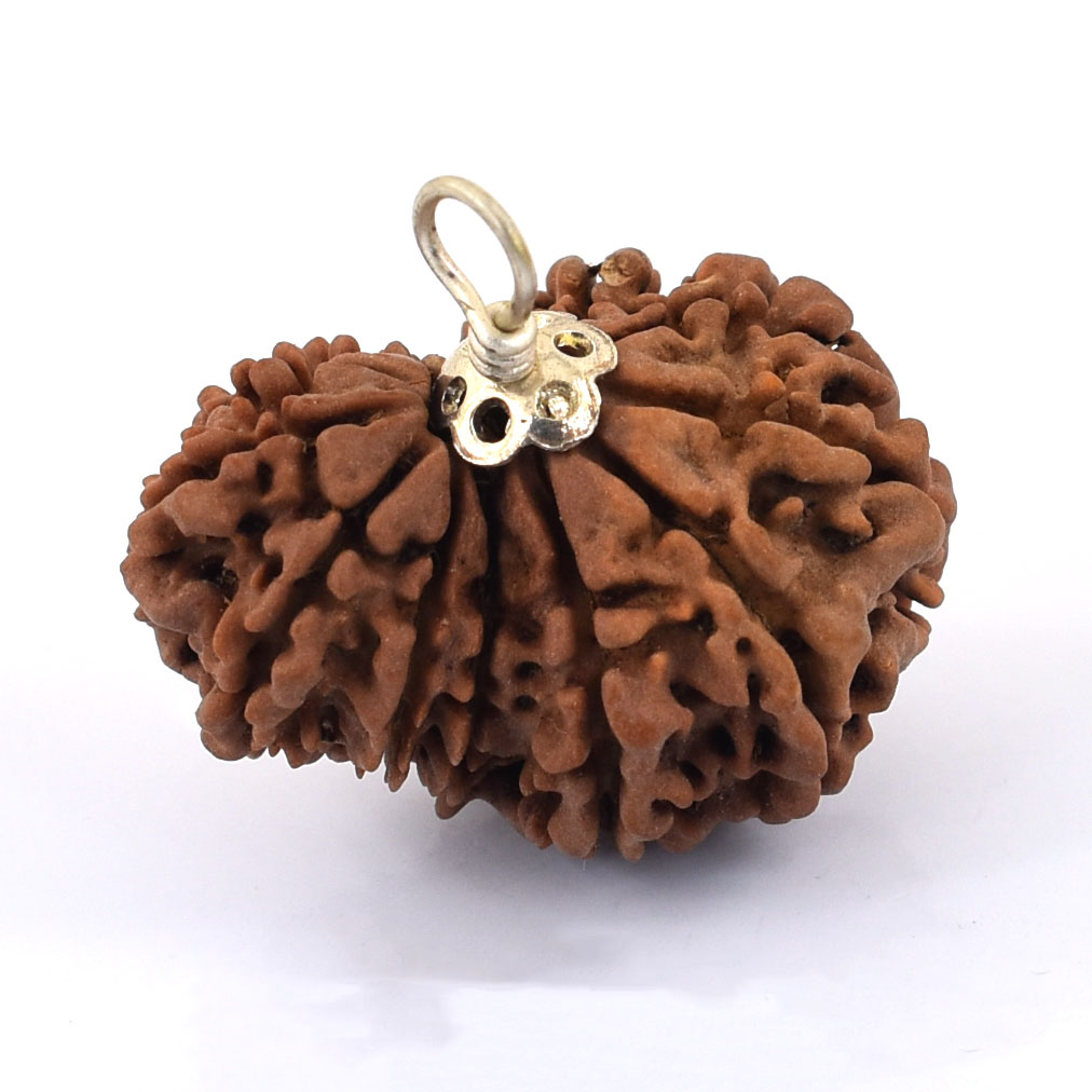 Natural 9 Mukhi Rudraksha Pendant | Original Sacred Rudraksha with Silver-Tone Cap - Image 2