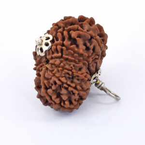Natural 9 Mukhi Rudraksha Pendant | Original Sacred Rudraksha with Silver-Tone Cap