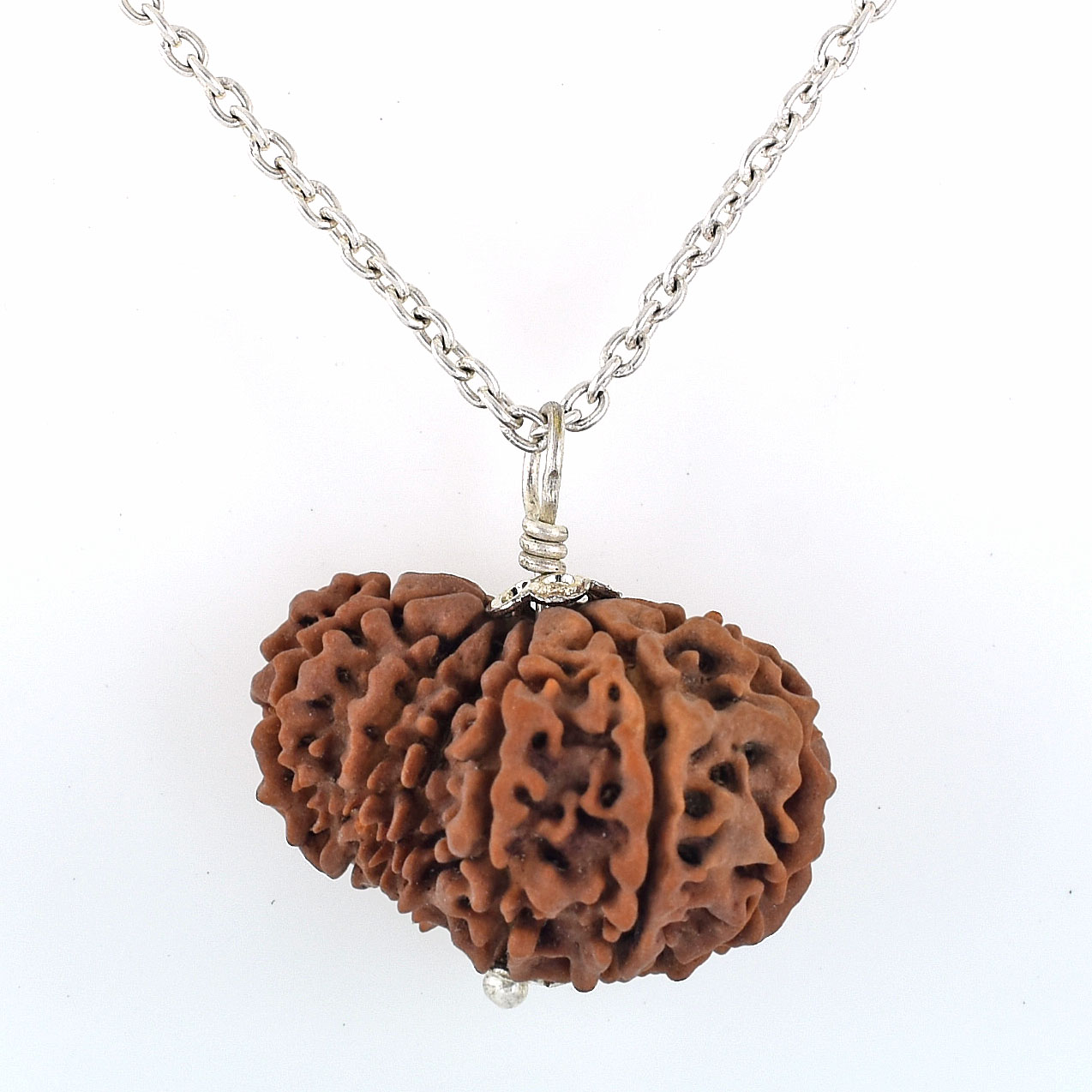 Natural 9 Mukhi Rudraksha Pendant | Original Sacred Rudraksha with Silver-Tone Cap - Image 4