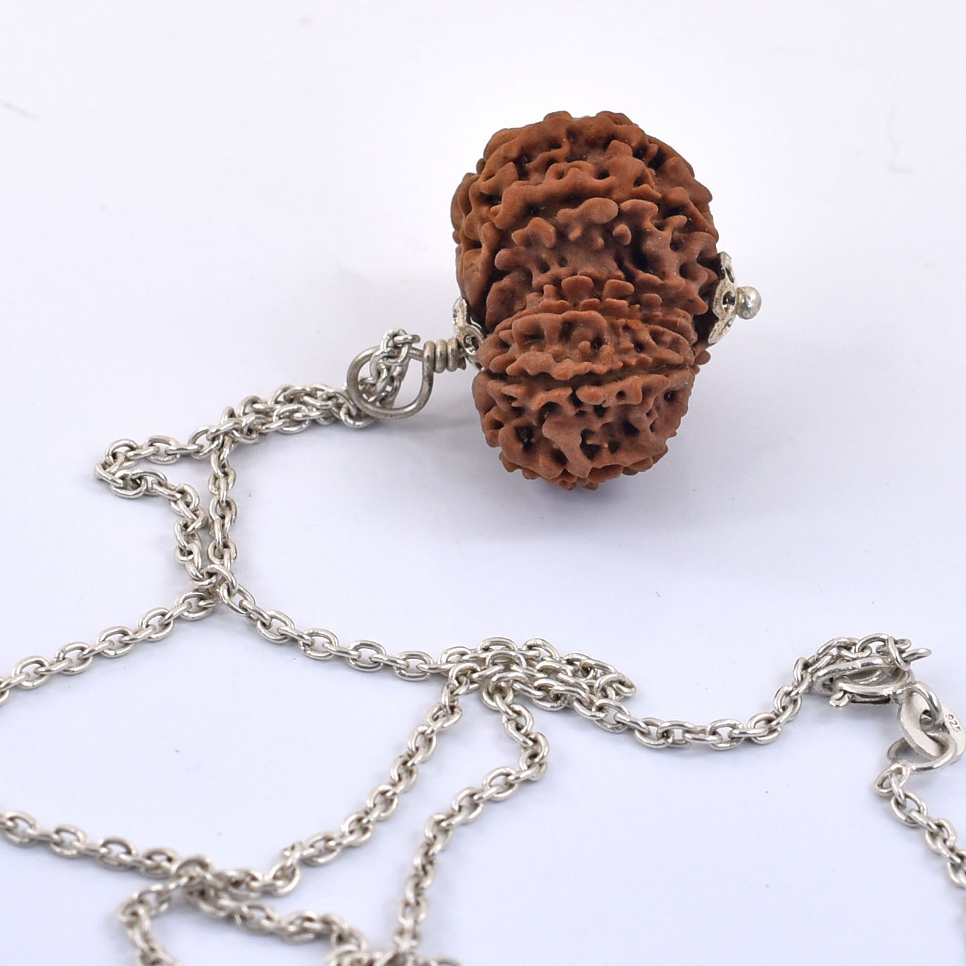 Natural 9 Mukhi Rudraksha Pendant | Original Sacred Rudraksha with Silver-Tone Cap - Image 5