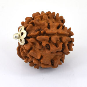 Natural 11 Mukhi Rudraksha Bead | Original Eleven Mukhi Rudraksha | Sacred Spiritual Bead for Meditation & Protection