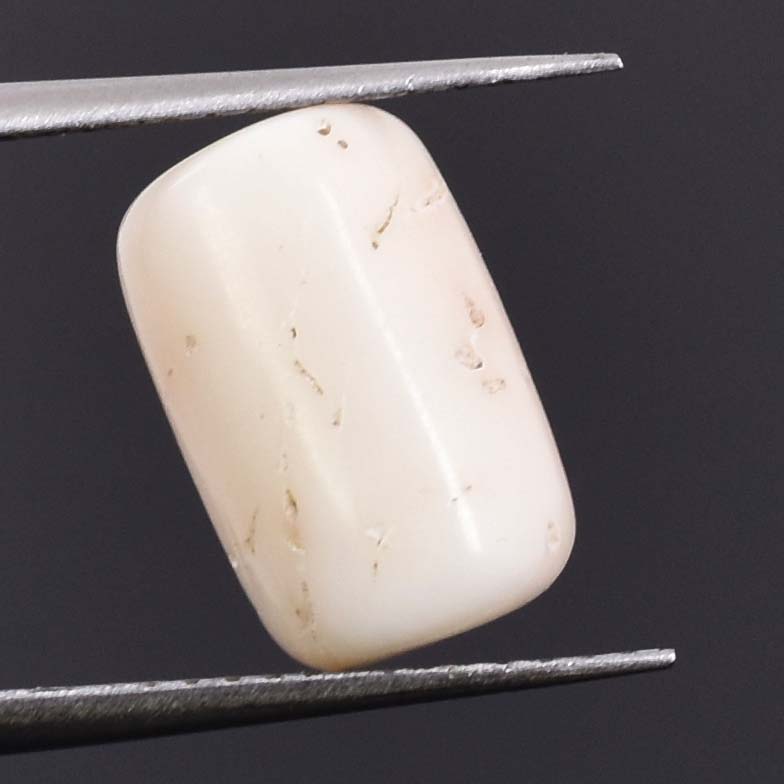 Premium 5.63 Cts Certified Natural White Coral (Safed Moonga) Gemstone - Image 4