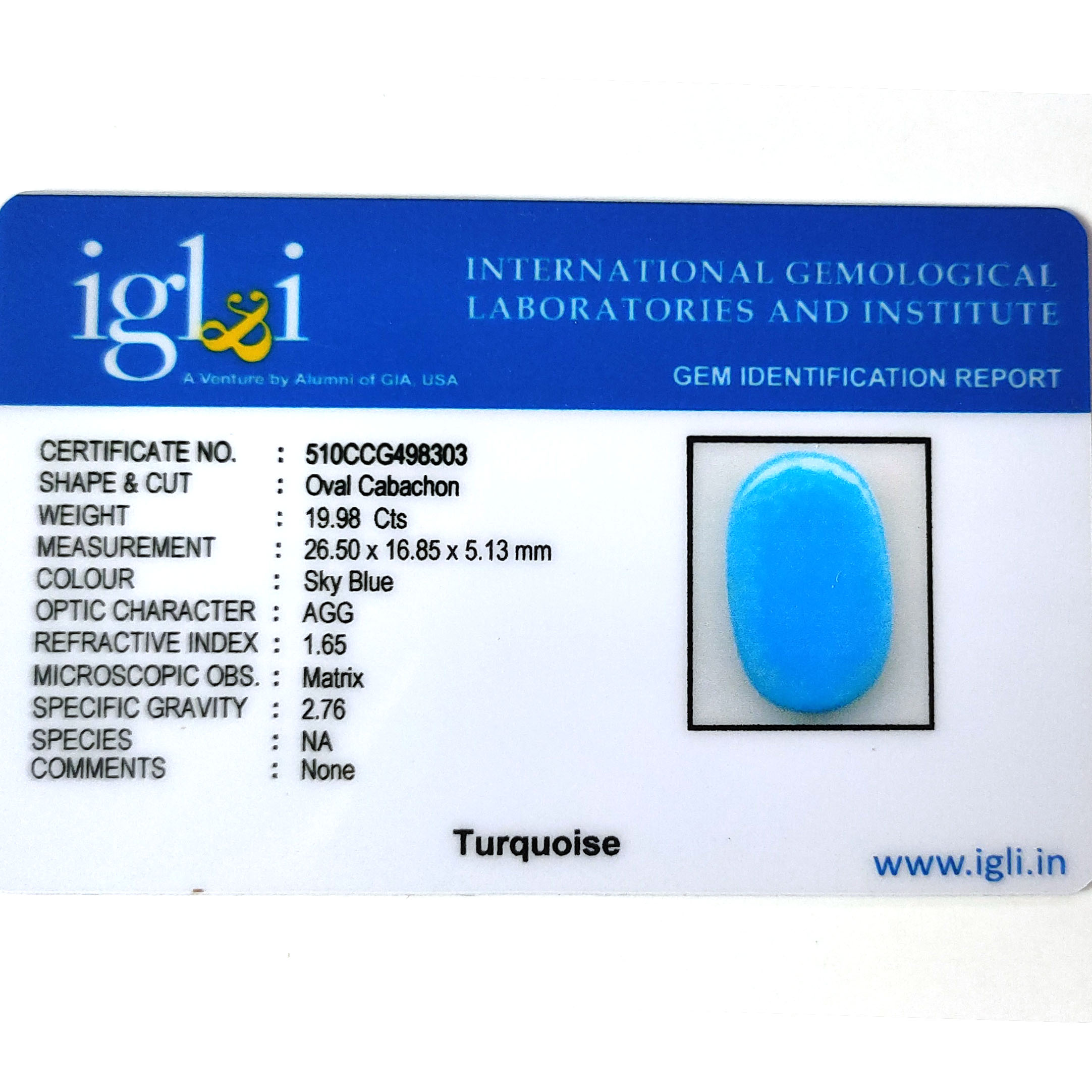 Premium Natural Turquoise (Firoza) Oval Cabochon - Image 3