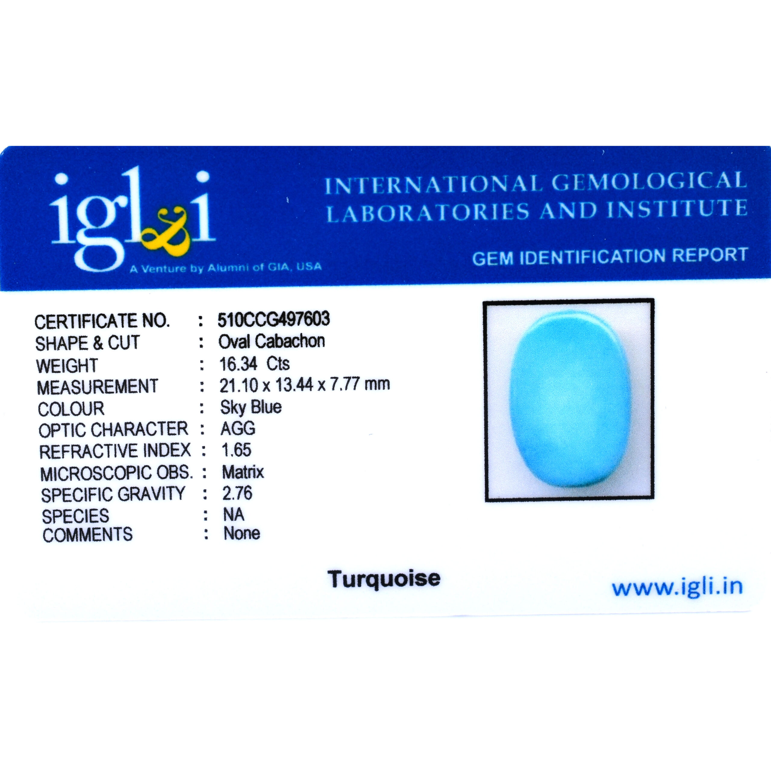 Natural Turquoise (Firoza) Gemstone – 16.34 Carats Certified Sky Blue Oval Cabochon - Image 3