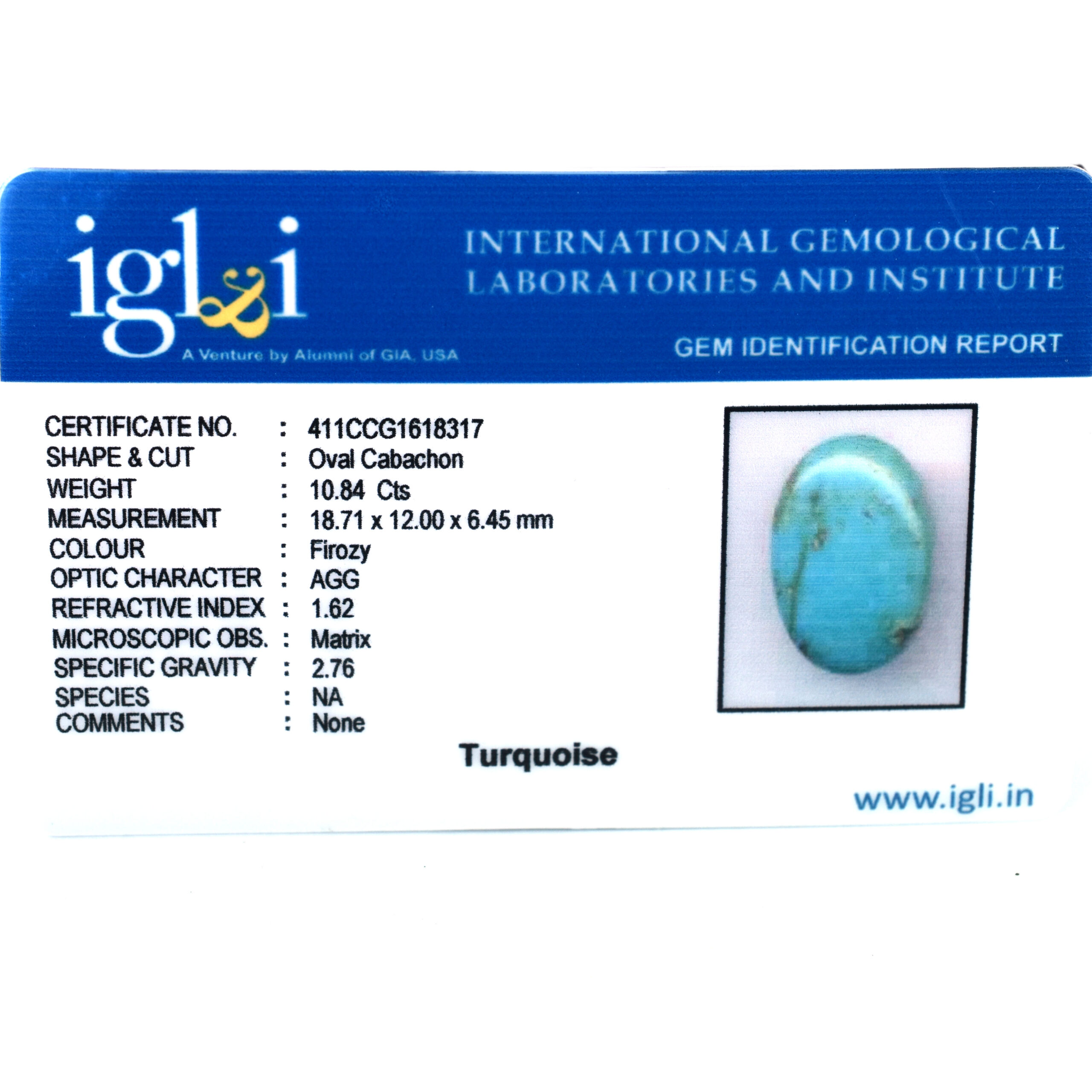 Premium 10.84 Cts Certified Natural Turquoise (Firoza) Oval Cabochon - Image 3
