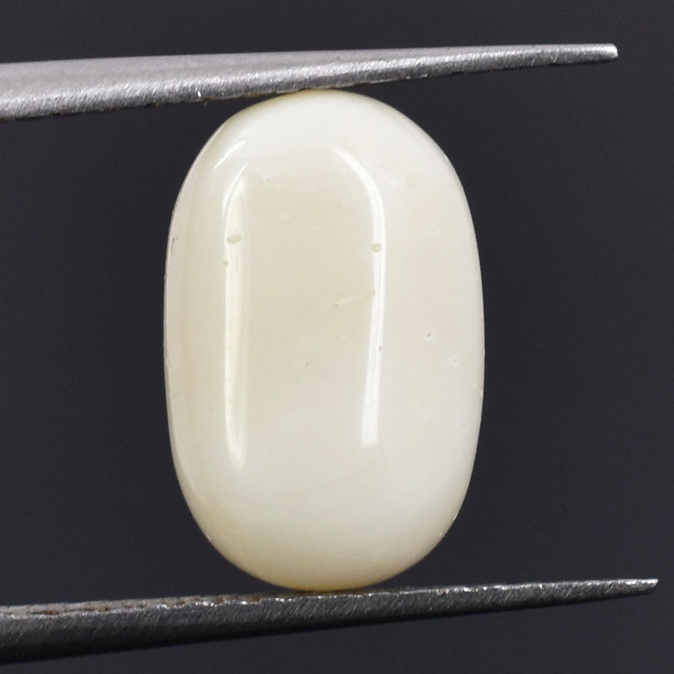 Premium Natural White Coral (Safed Moonga) Capsule Cabochon Gemstone - Image 6
