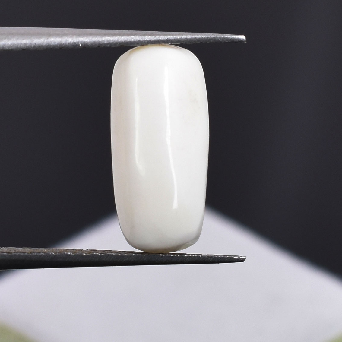 Premium Natural White Coral (Safed Moonga) Capsule Cabochon - Image 2