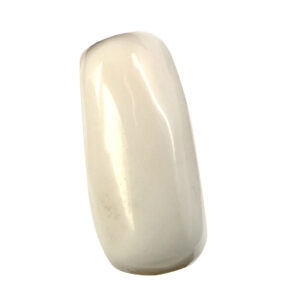 Premium Natural White Coral (Safed Moonga) Capsule Cabochon