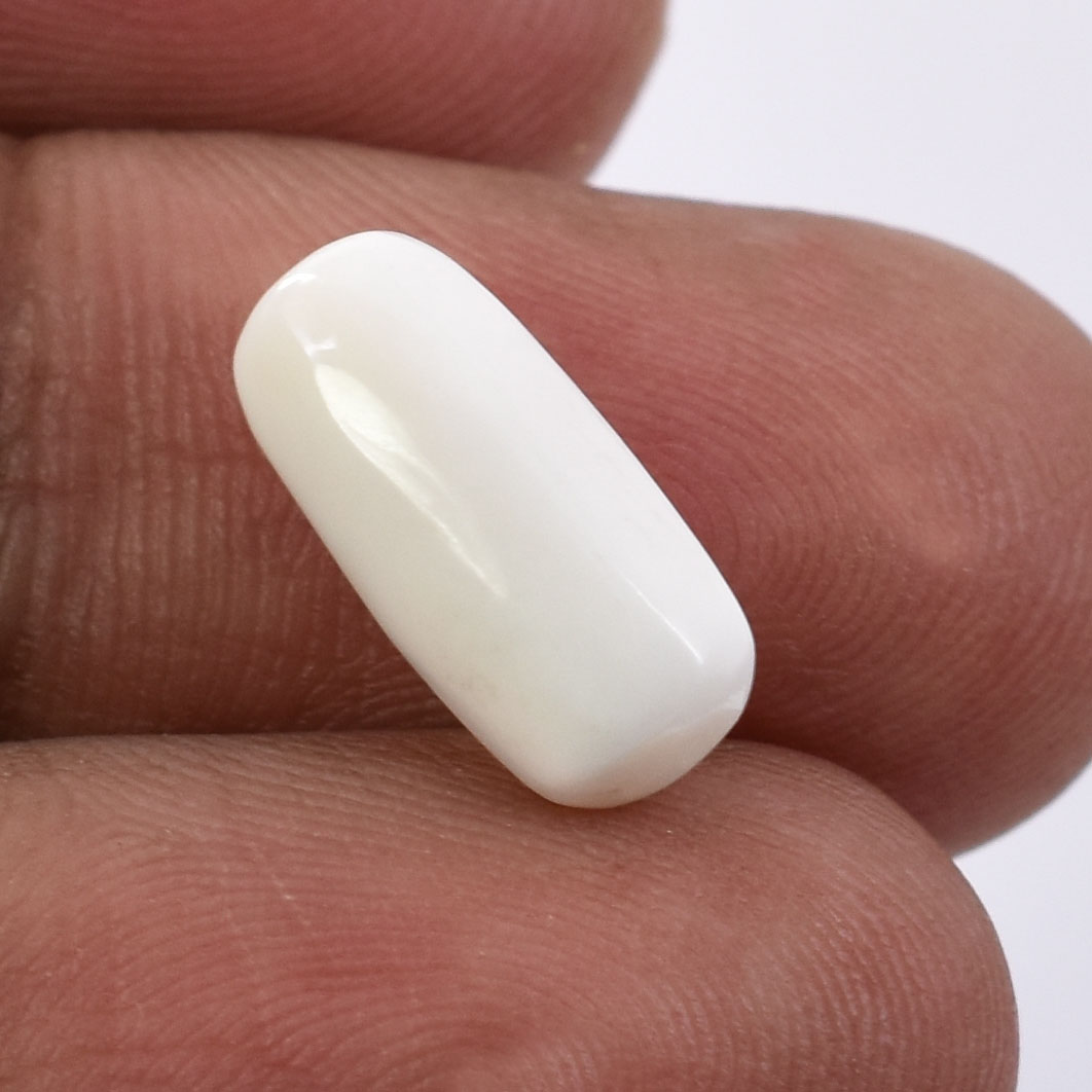 Premium Natural White Coral (Safed Moonga) Capsule Cabochon - Image 4