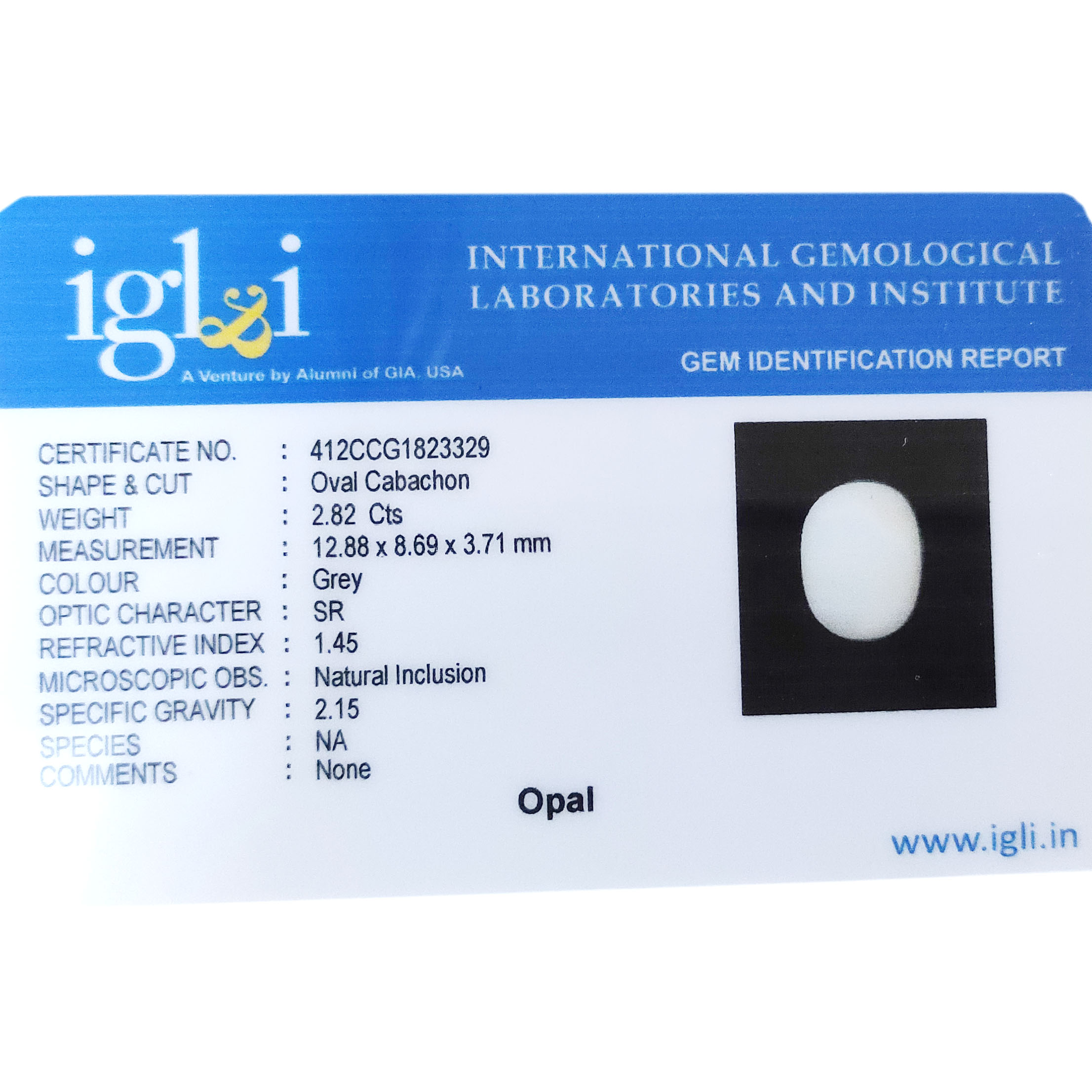 Premium Certified Natural Grey Opal (2.82 Cts) - Image 3