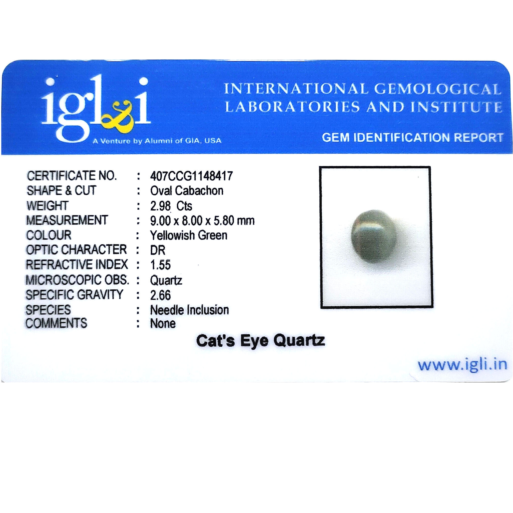 Certified Natural Cat's Eye Quartz – 2.98 Carat Oval Cabochon Gemstone - Image 3