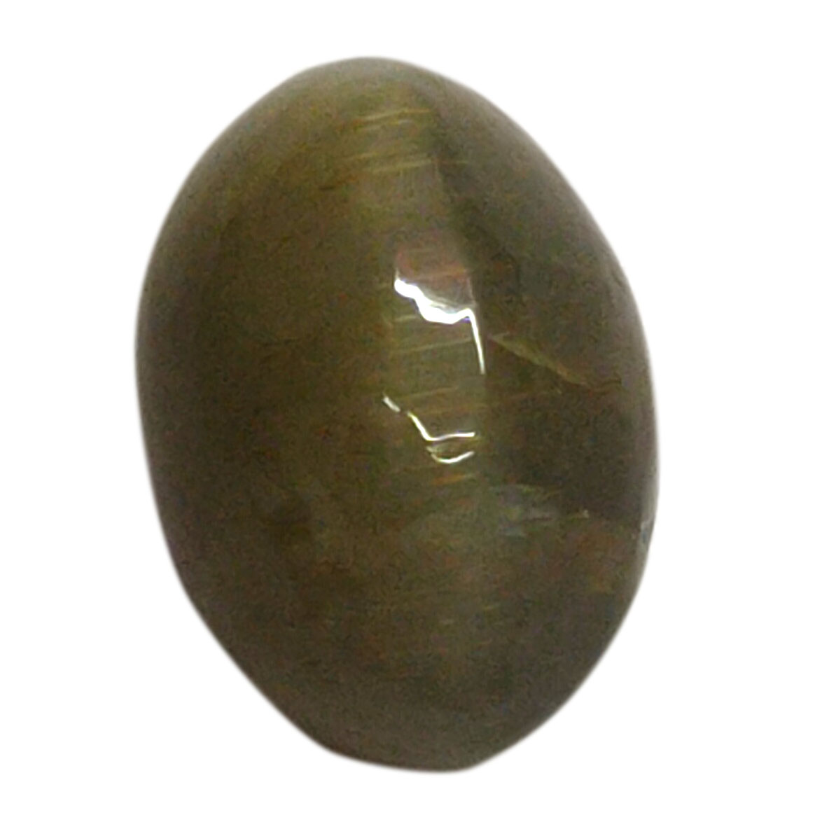Certified Natural Cat's Eye Quartz – 3.91 Carat Oval Cabochon Gemstone - Image 4