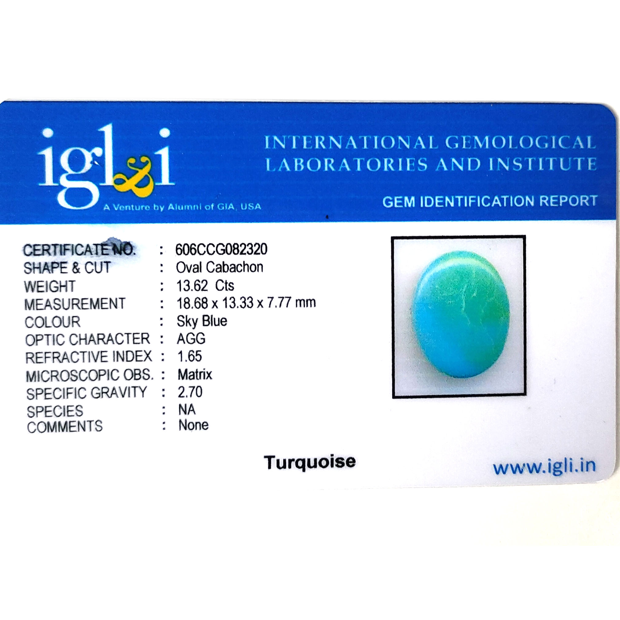 Premium 13.62 Cts Certified Natural Turquoise (Firoza) Oval Cabochon - Image 3