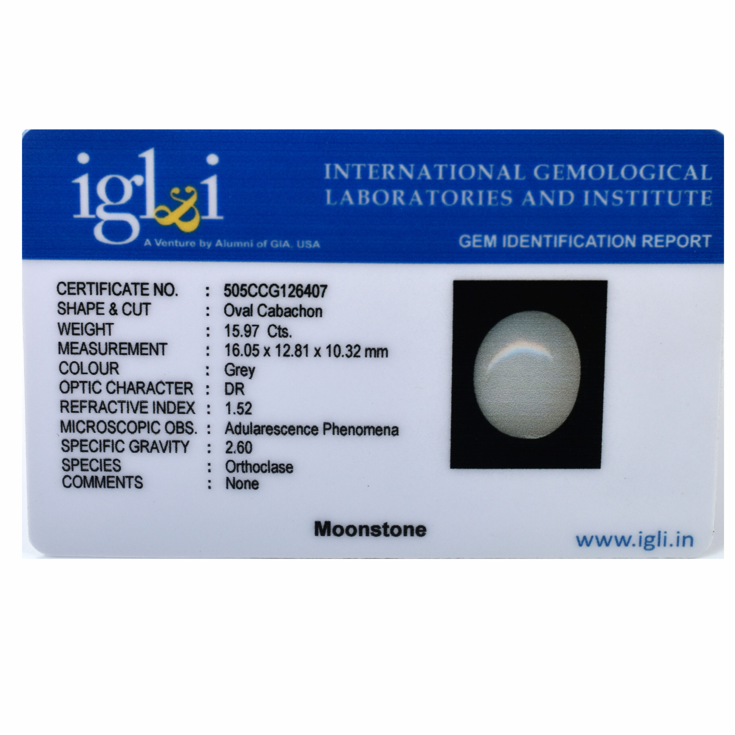 Premium 15.97 Cts Certified Natural Grey Moonstone Oval Cabochon - Image 3