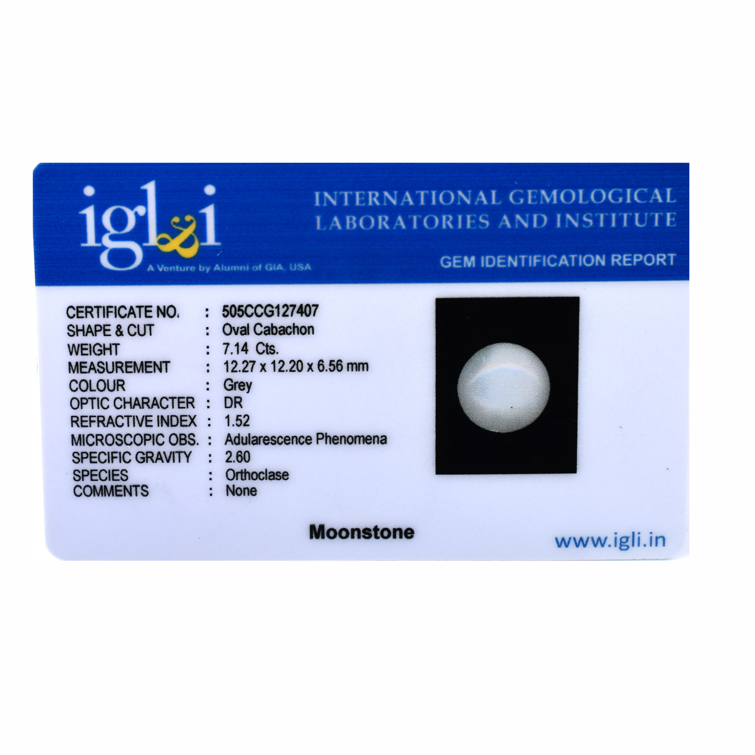Premium 7.14 Cts Certified Natural Grey Moonstone Oval Cabochon - Image 3