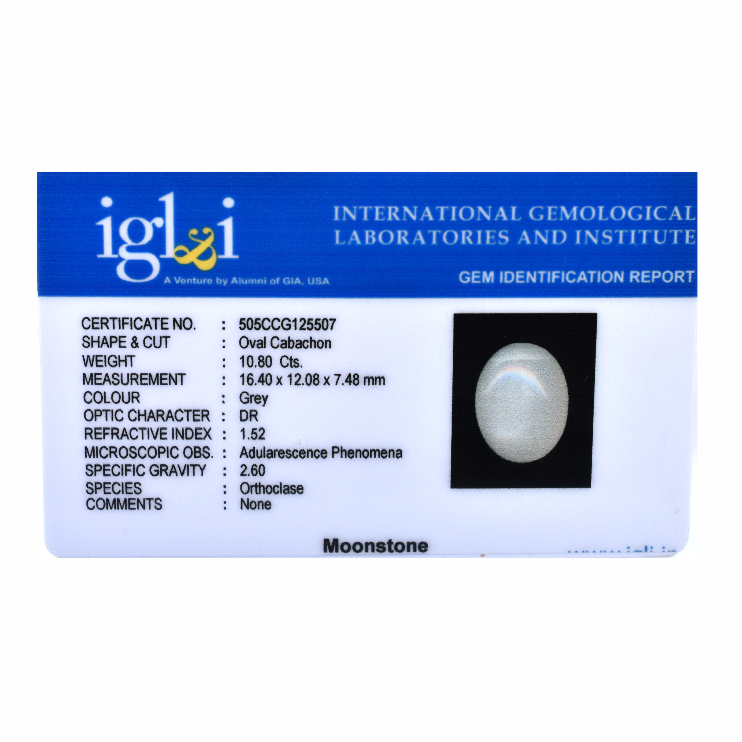 Premium 10.80 Cts Certified Natural Grey Moonstone Oval Cabochon - Image 3