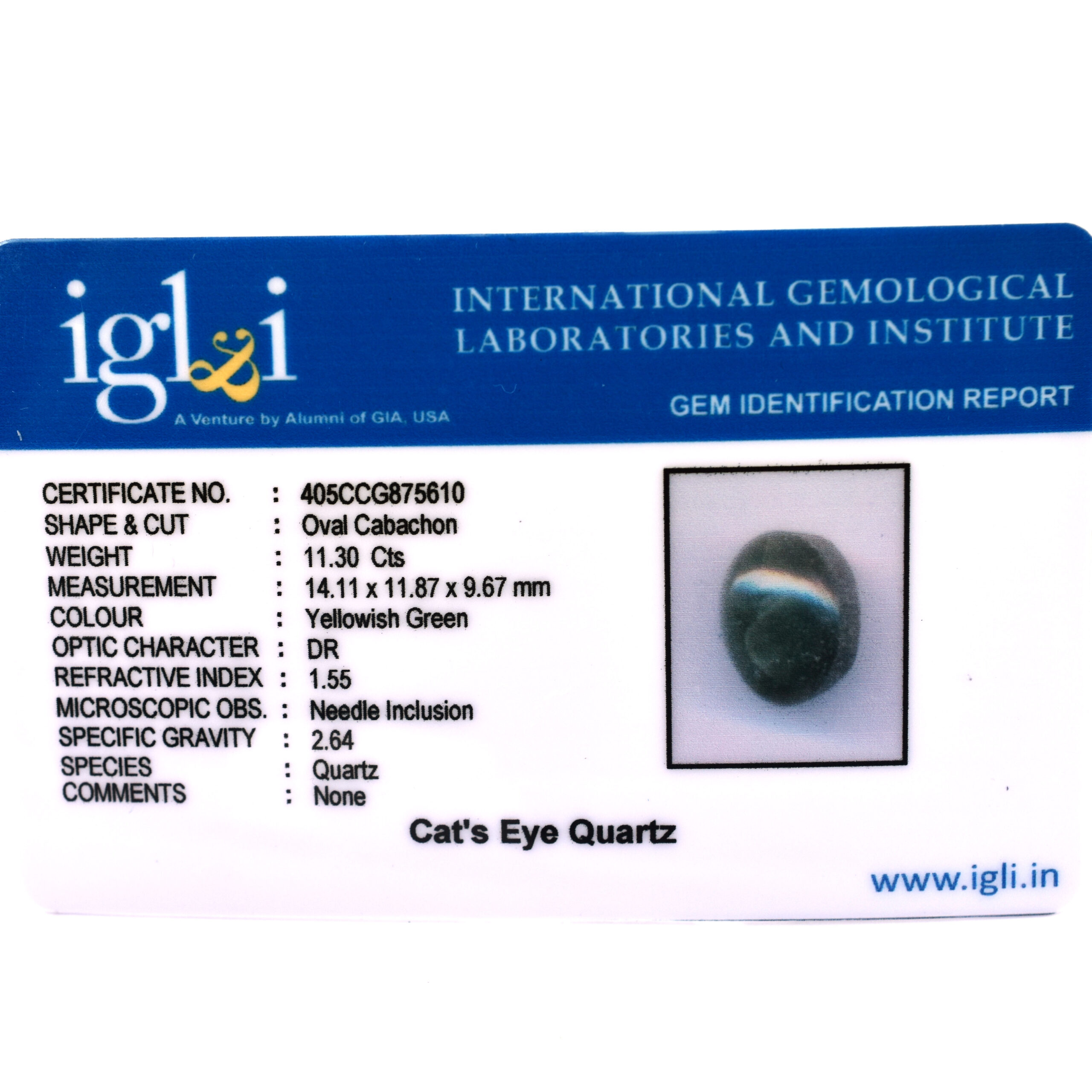 Certified Natural Cat's Eye Quartz – 11.30 Carat Oval Cabochon Gemstone - Image 3
