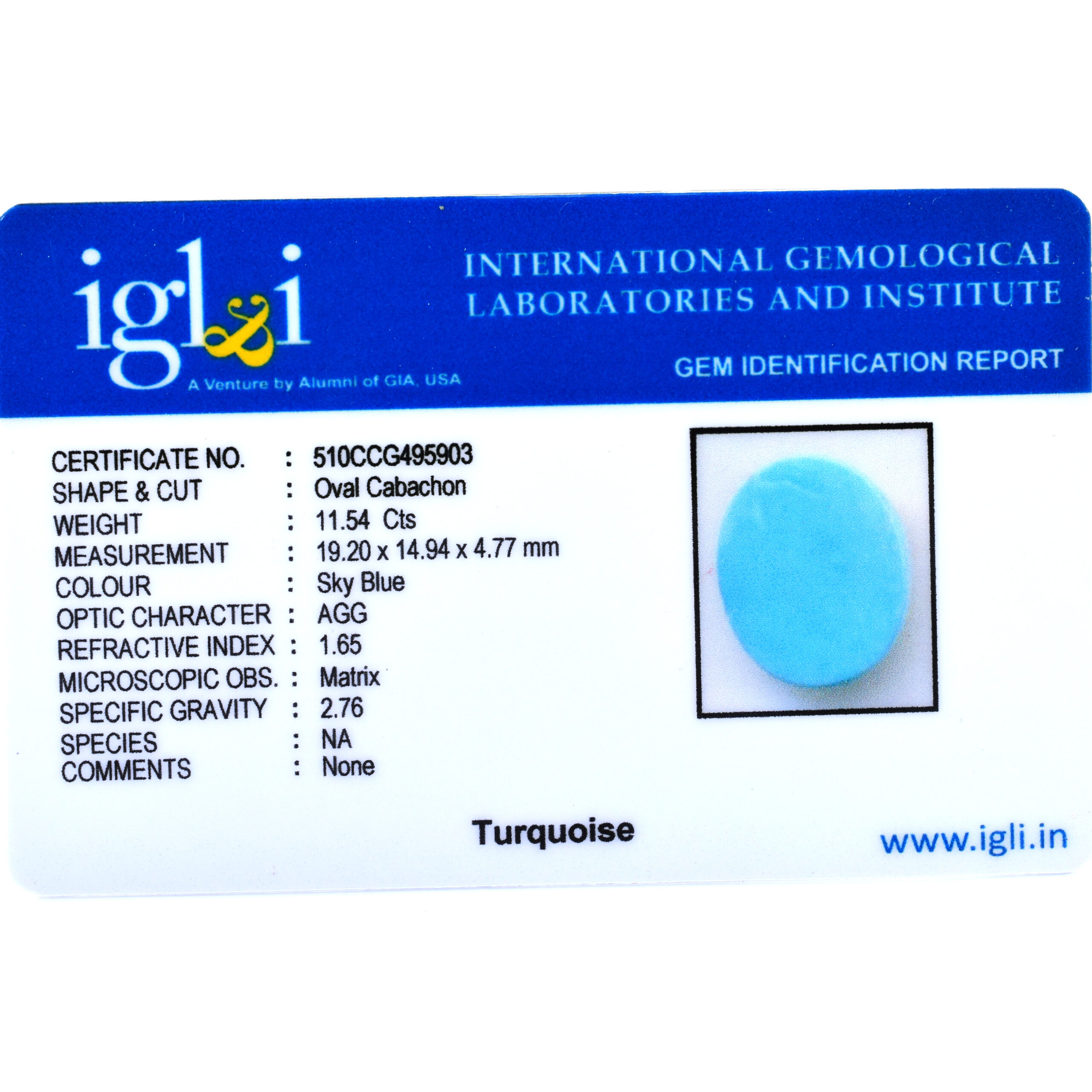 Premium 11.54 Cts Certified Natural Turquoise (Firoza) Oval Cabochon - Image 3