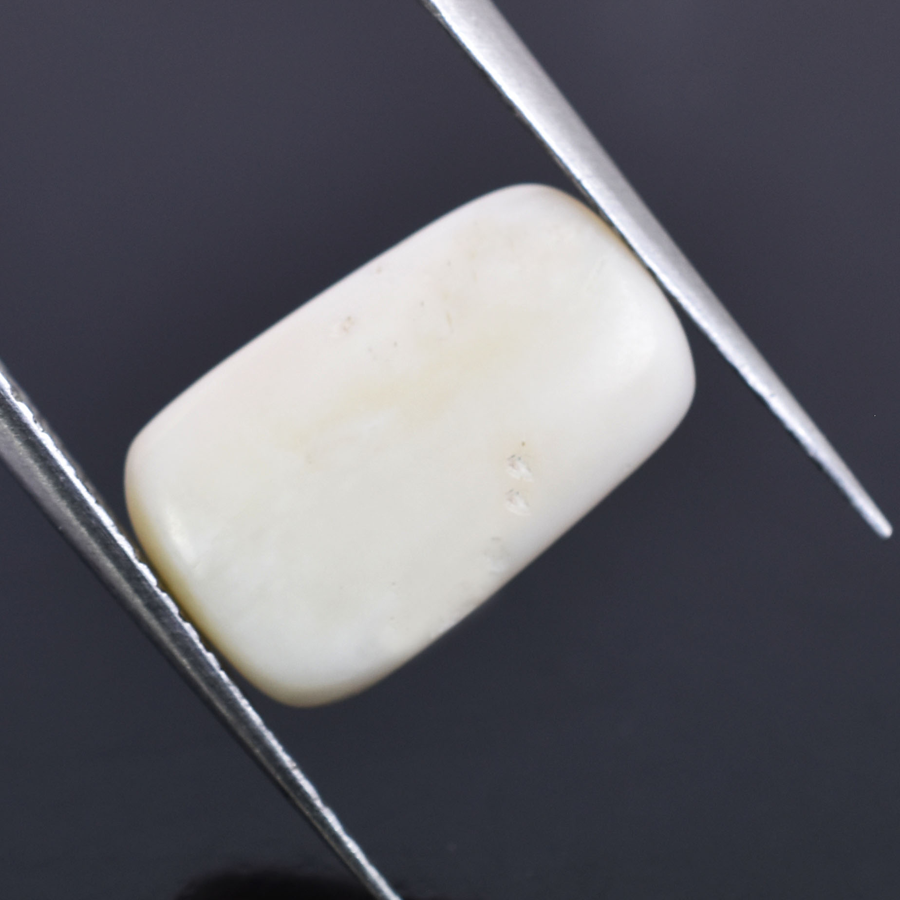 Premium 7.70 Cts Certified Natural White Coral (Safed Moonga) Gemstone - Image 5