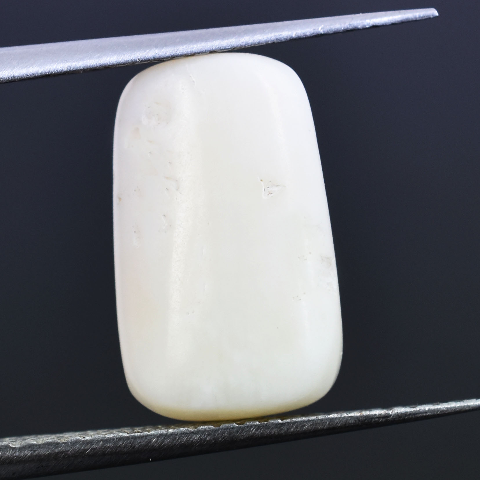 Premium 7.70 Cts Certified Natural White Coral (Safed Moonga) Gemstone - Image 6