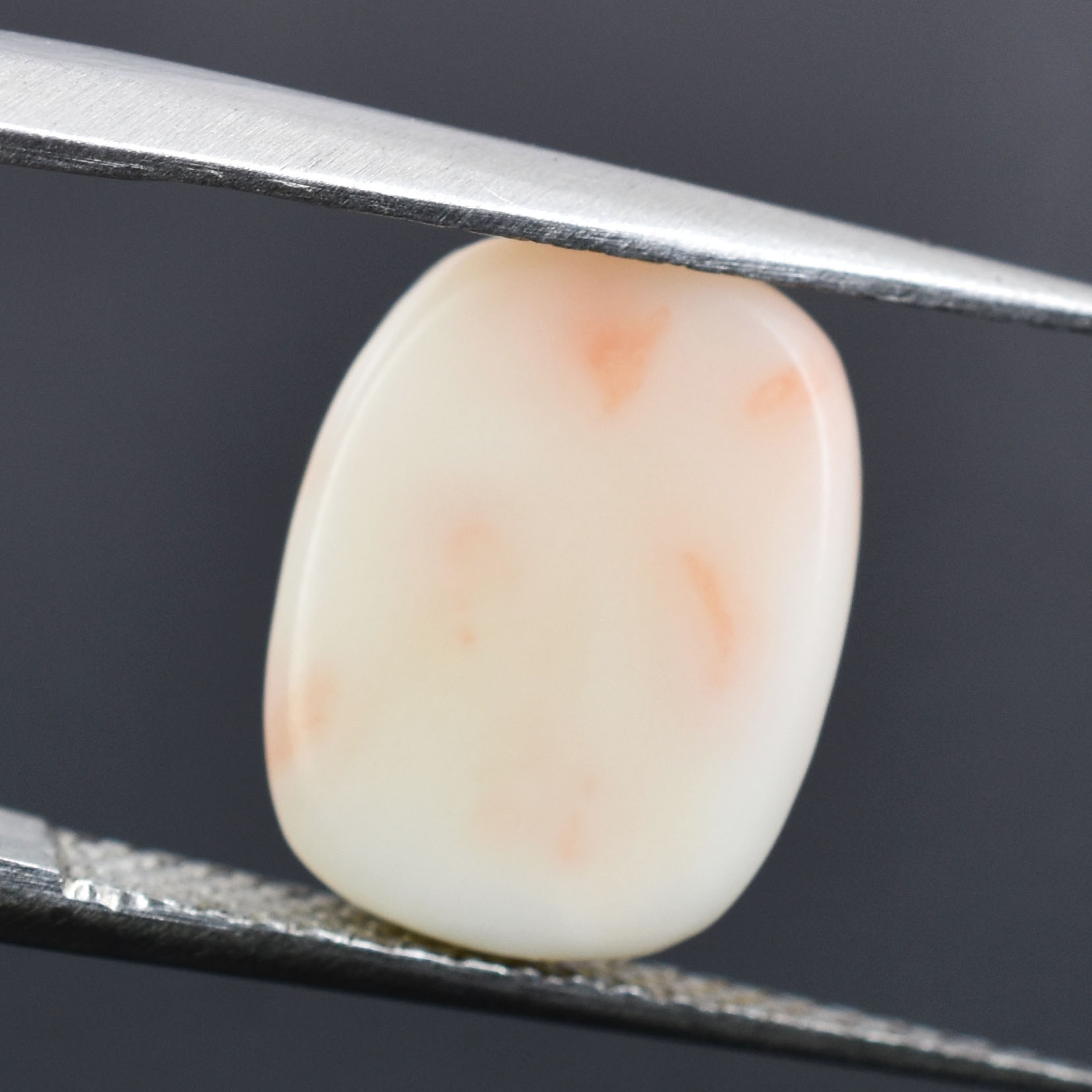 Premium 5.74 Cts Certified Natural White Coral (Safed Moonga) Gemstone - Image 4
