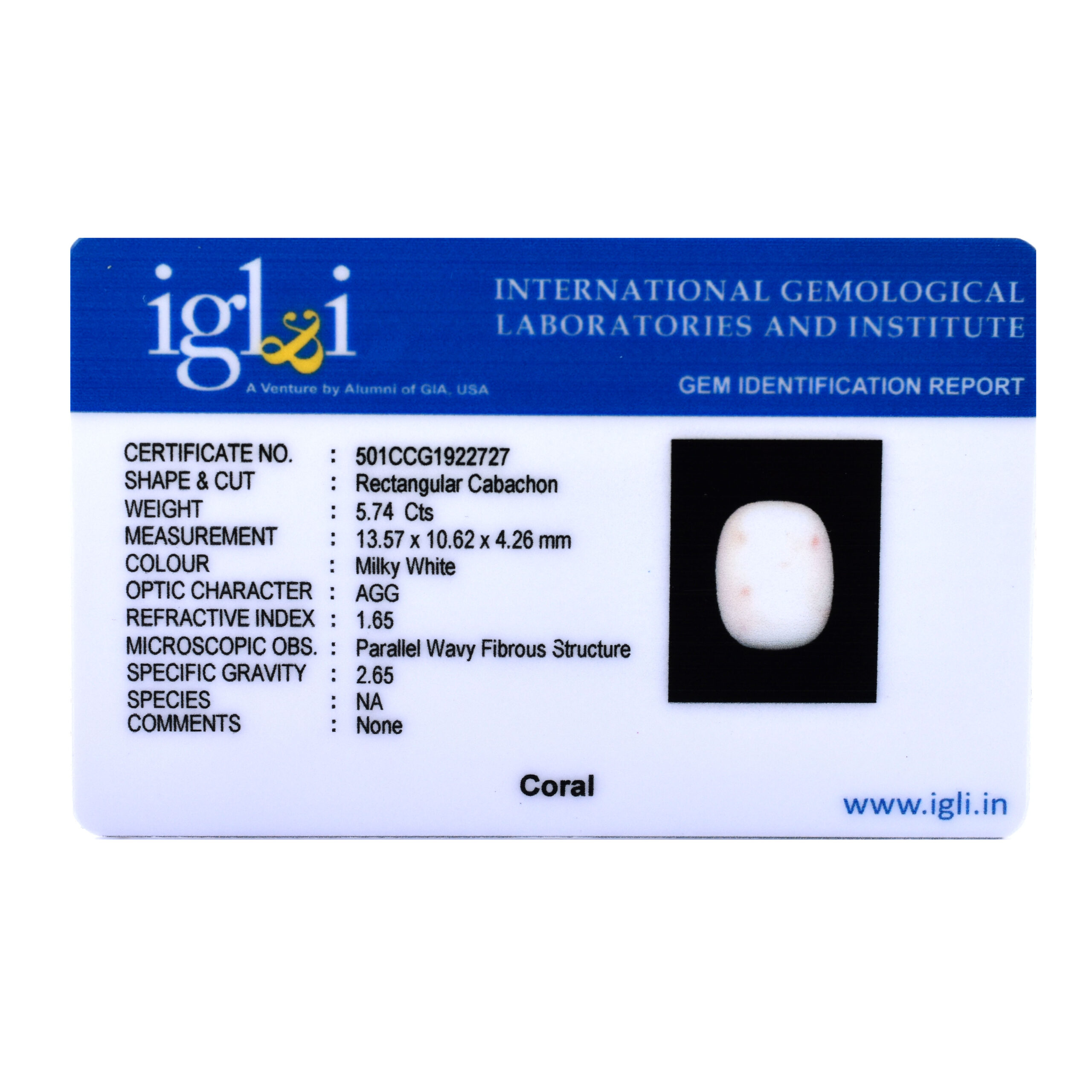 Premium 5.74 Cts Certified Natural White Coral (Safed Moonga) Gemstone - Image 3