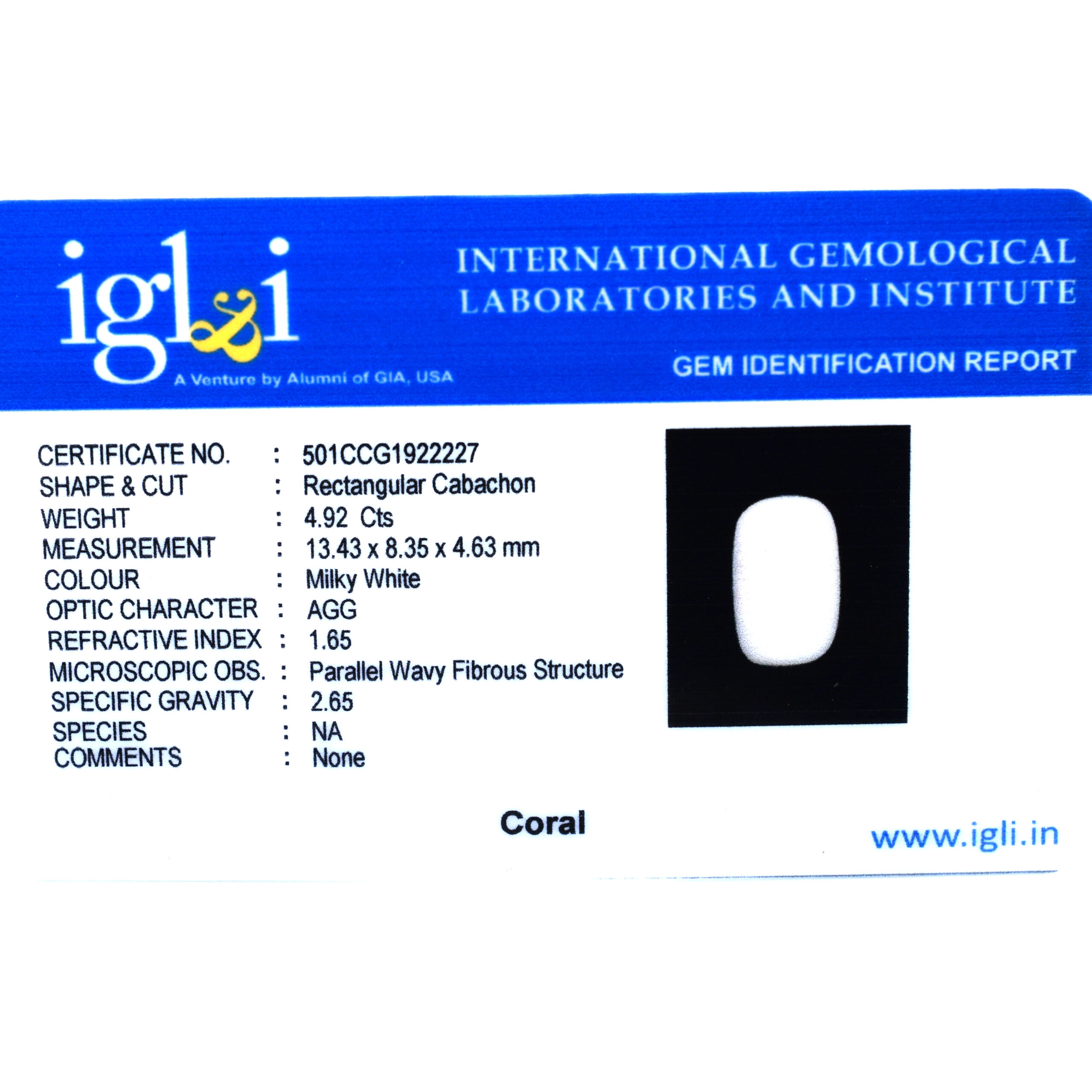 Premium 4.92 Cts Certified Natural White Coral (Safed Moonga) Gemstone - Image 3