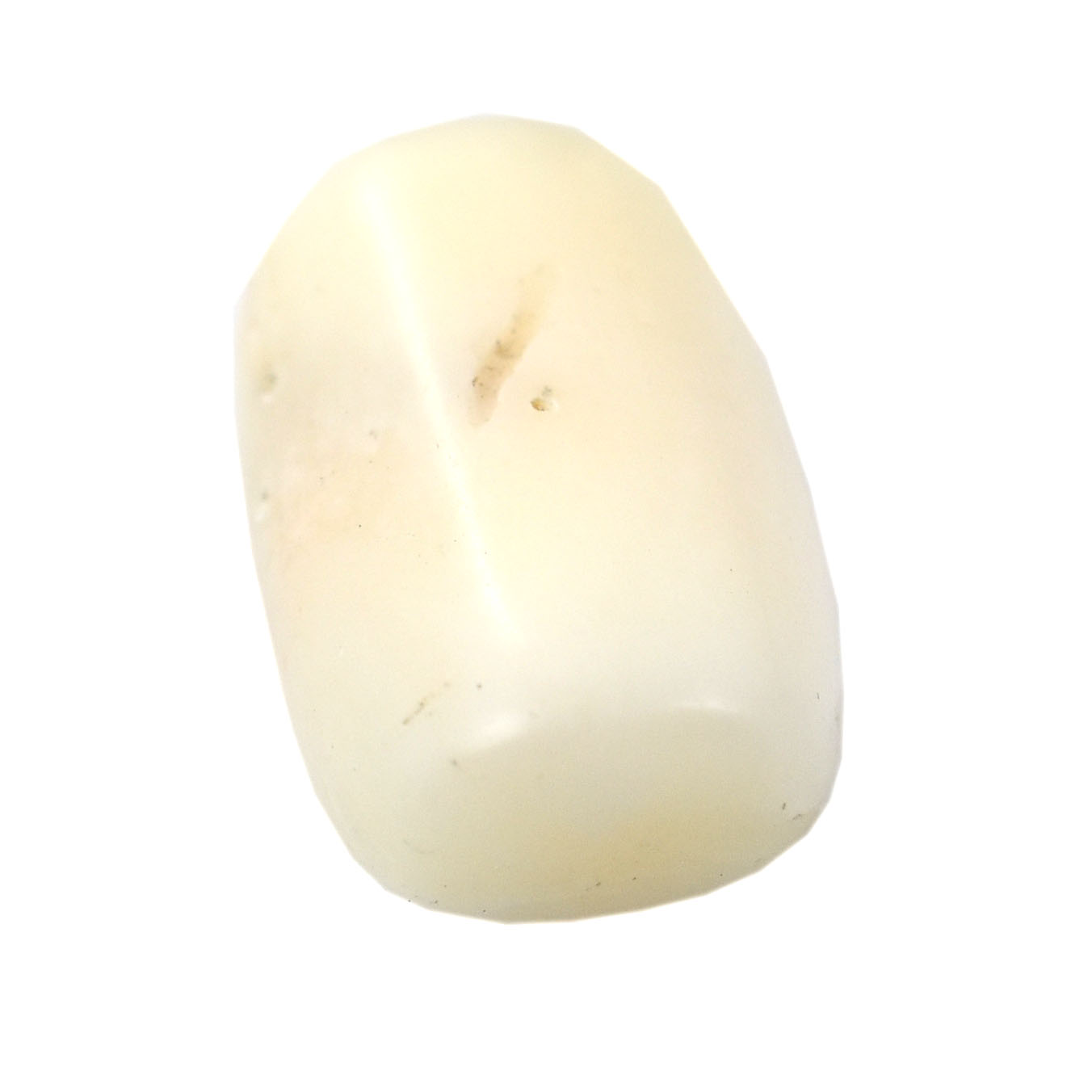 Premium 4.92 Cts Certified Natural White Coral (Safed Moonga) Gemstone - Image 8