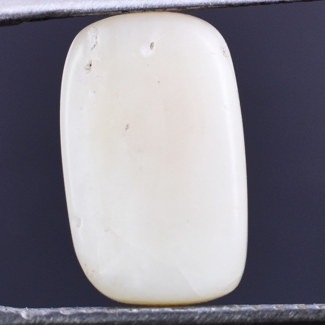 Premium 4.92 Cts Certified Natural White Coral (Safed Moonga) Gemstone - Image 4