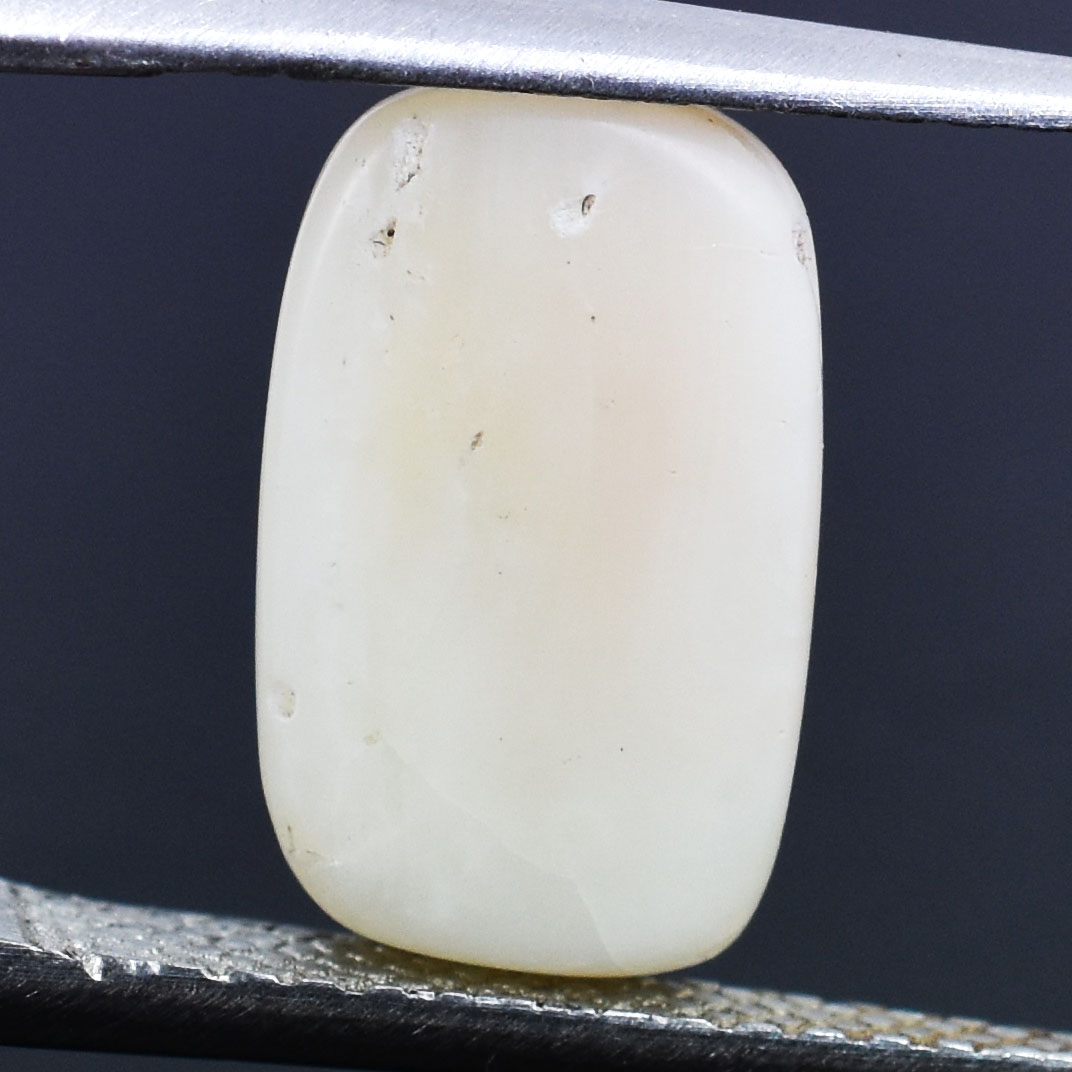 Premium 4.92 Cts Certified Natural White Coral (Safed Moonga) Gemstone - Image 2