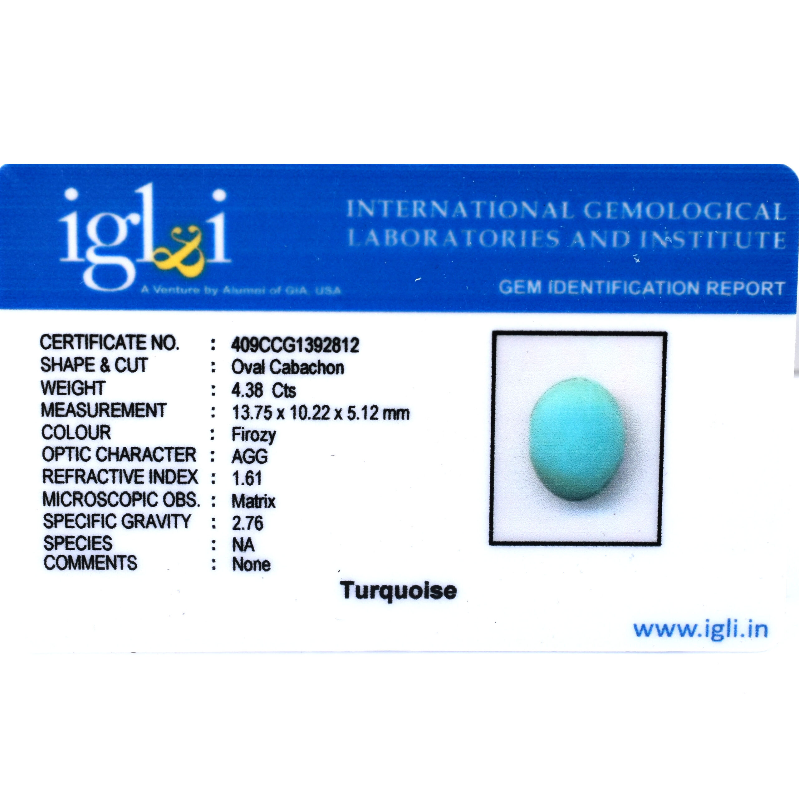 Natural Turquoise (Firoza) Gemstone – 4.38 Carat Oval Cabochon | Certified Loose Stone - Image 3