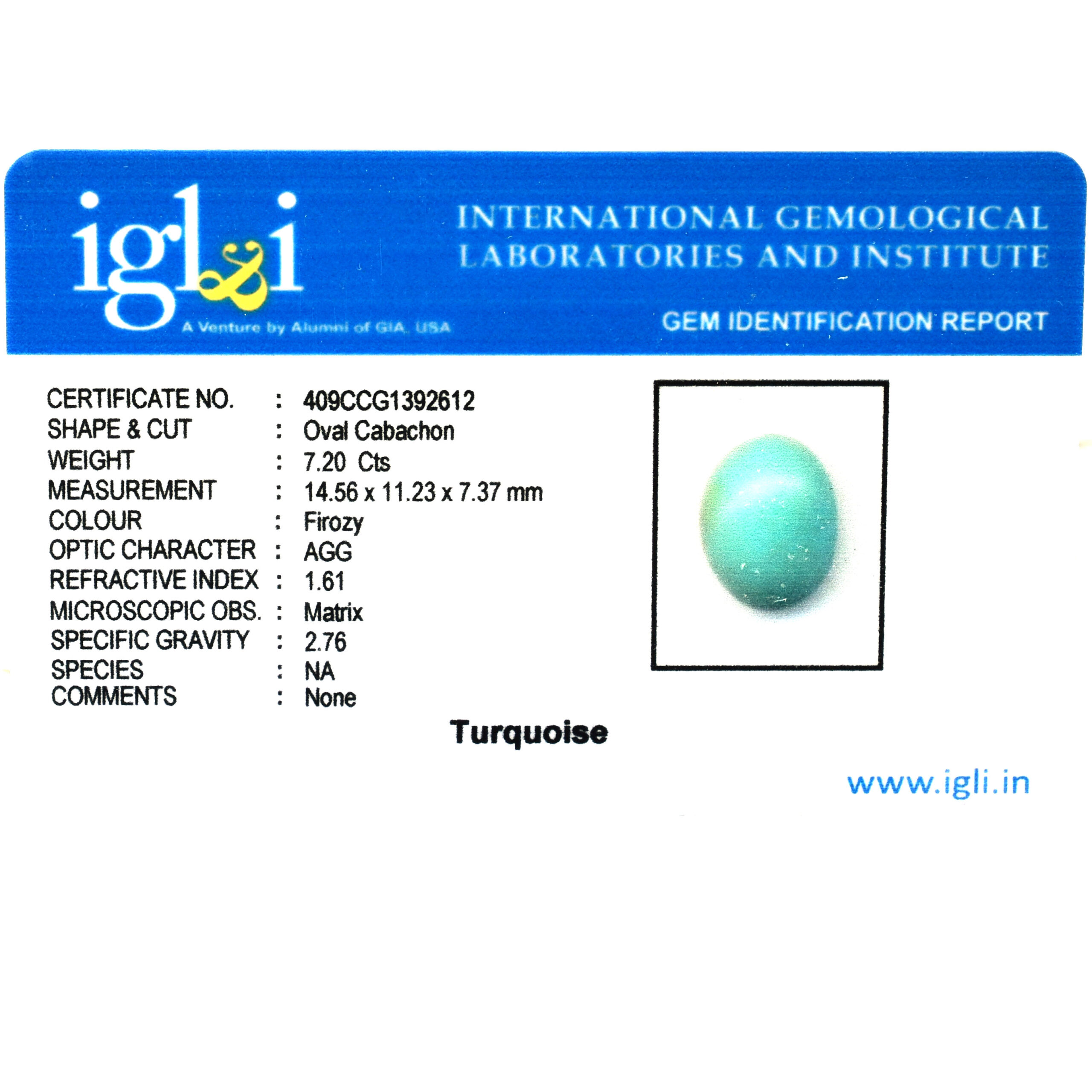 Natural Turquoise (Firoza) Gemstone – Certified Oval Cabochon Loose Stone | 7.20 Carat - Image 3