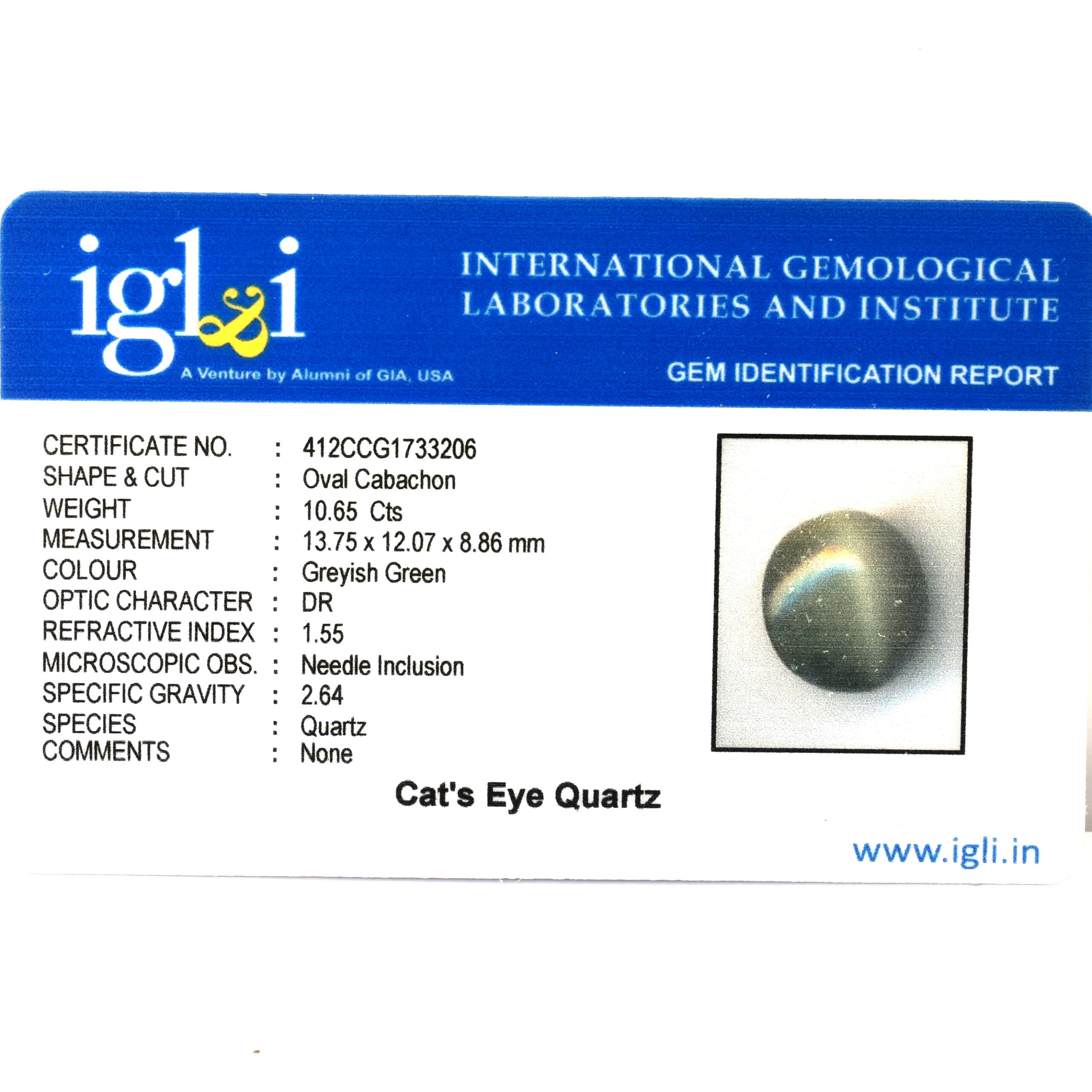 Certified Natural Cat's Eye Quartz – 10.65 Carat Oval Cabochon Gemstone - Image 3