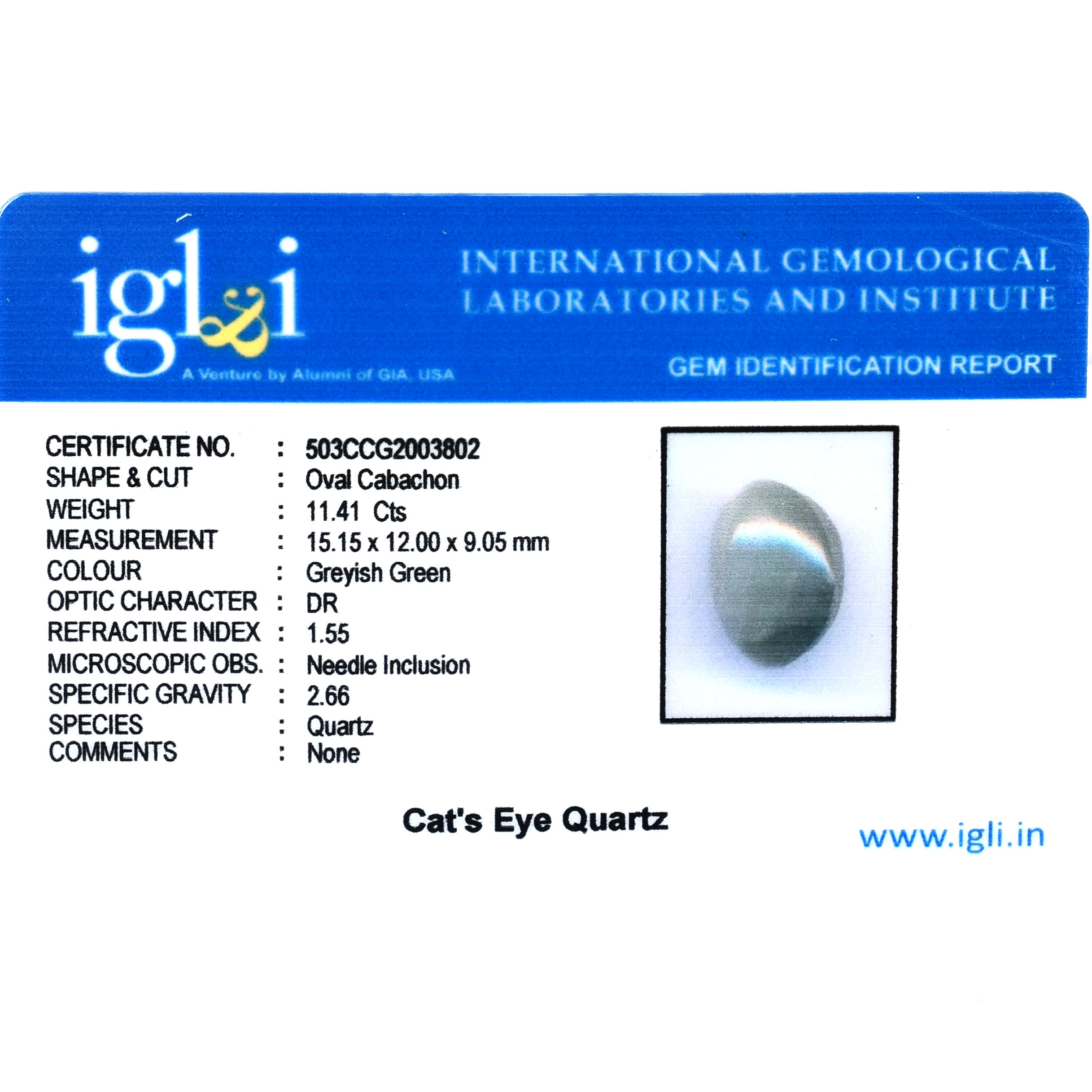 Certified Natural Cat's Eye Quartz – 11.41 Carat Oval Cabochon Gemstone - Image 5