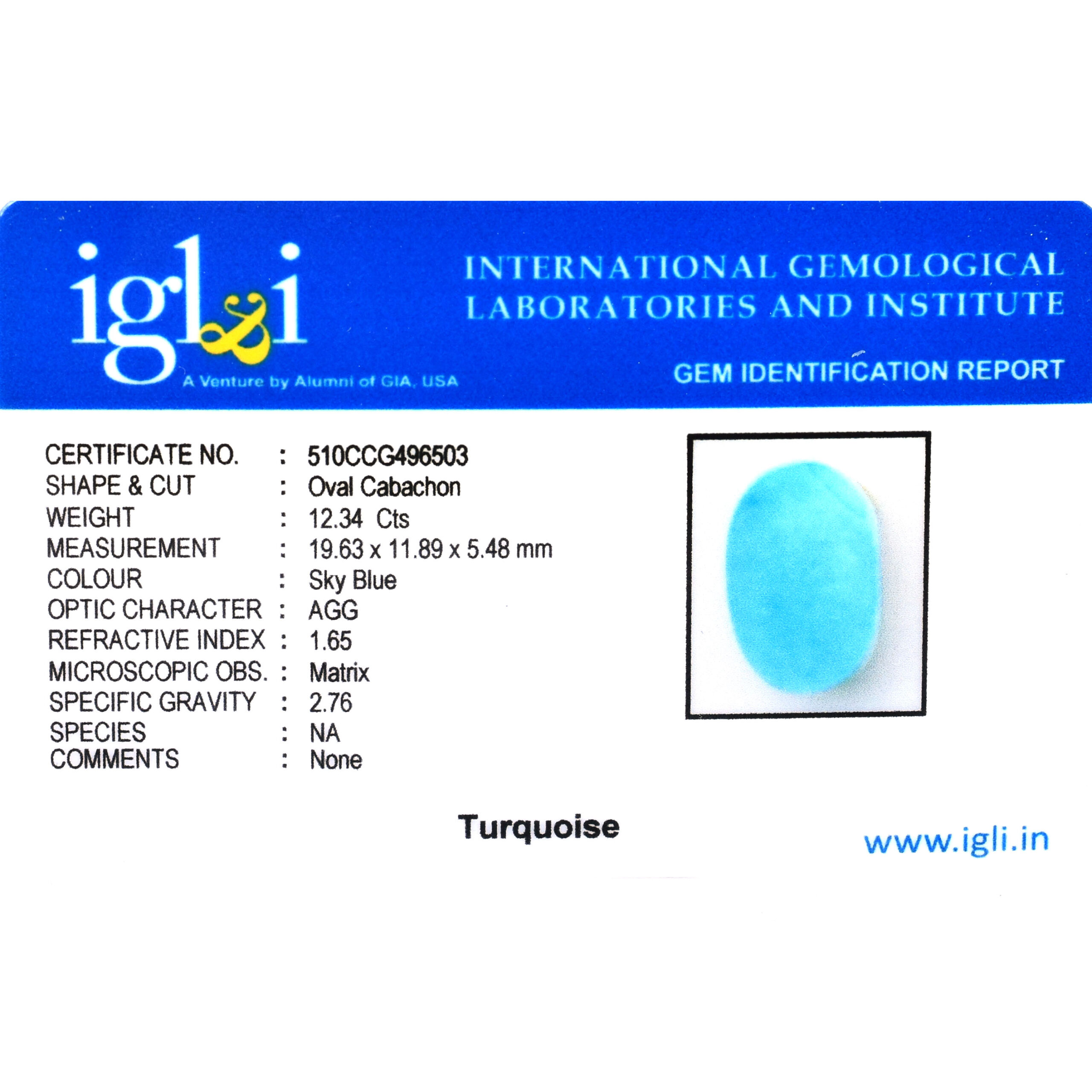 Premium 12.34 Cts Certified Natural Turquoise (Firoza) Gemstone - Image 3