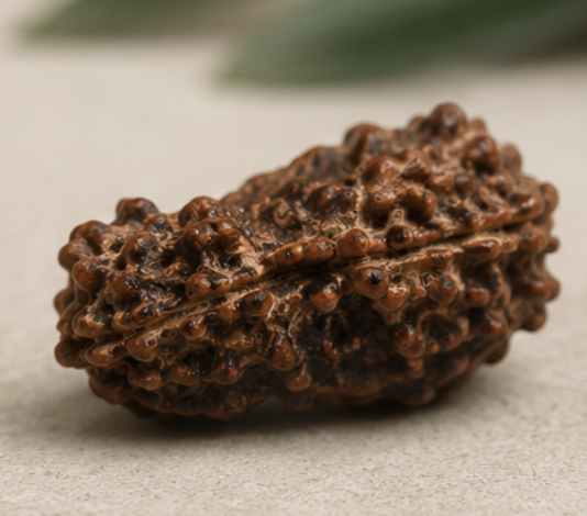 Natural 12 Mukhi Rudraksha | 2.18 gms Genuine Barah Mukhi Rudraksha - Image 5