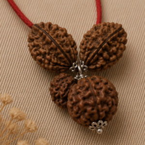Natural 3 Rudraksha Pendant Necklace | 12 g Handmade Spiritual Pendant | Sacred Devotional Jewelry