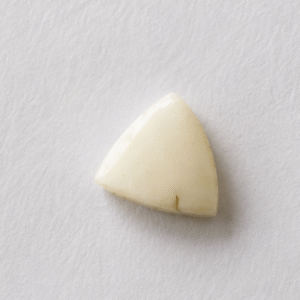 Natural White Coral Gemstone (Safed Moonga) – 6.55 Carat Triangular Cabochon