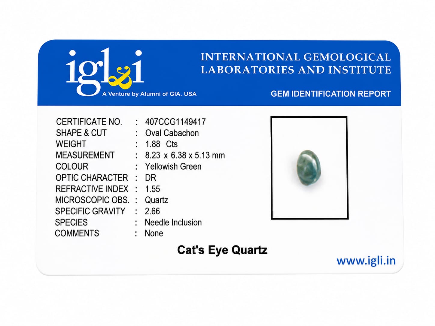 Natural Cat's Eye Quartz 1.88 CTS – Certified Oval Cabochon Loose Gemstone - Image 2