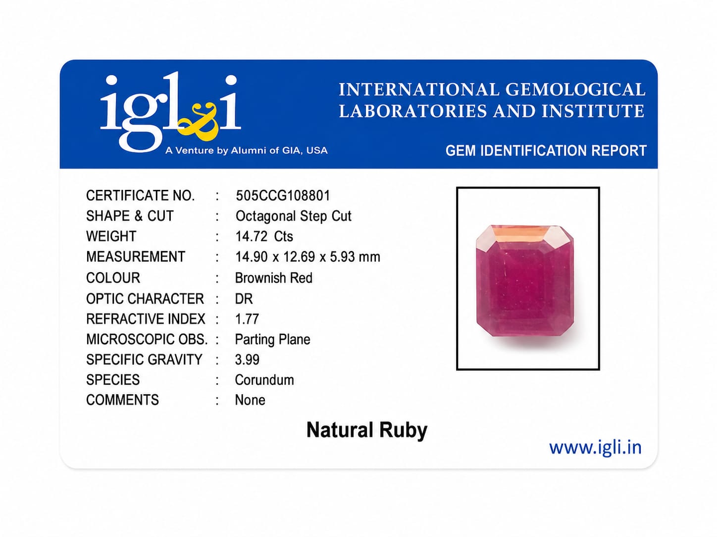 Premium 14.72 Cts Certified Natural Ruby (Manik) Octagonal Step Cut - Image 6
