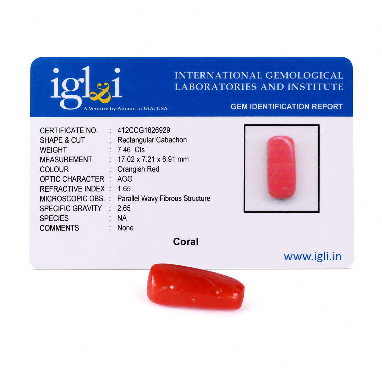 Premium 7.46 Cts Certified Natural Coral (Moonga) Rectangular Cabochon - Image 4