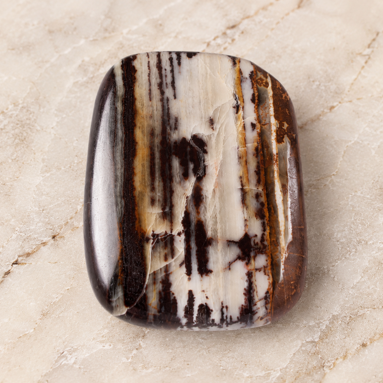 Natural Zebra Jasper Cabochon | Premium Polished Healing Crystal | Loose Gemstone for Jewelry & Astrology