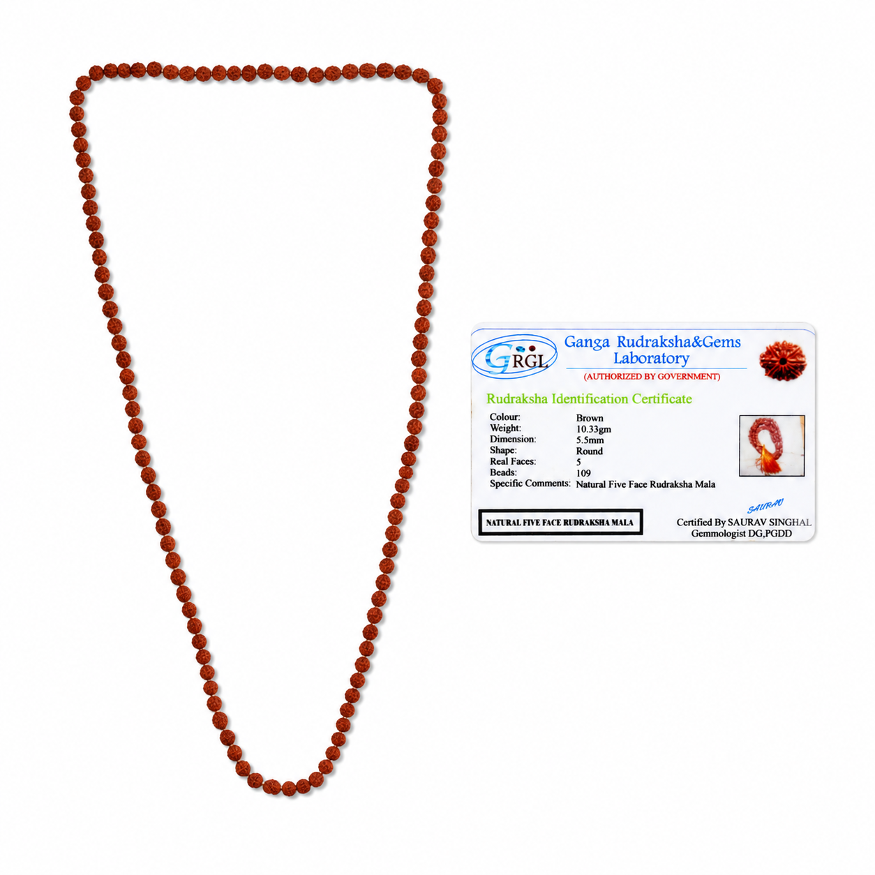 Natural 5 Mukhi Rudraksha Mala (108 Beads) – Certified Original Rudraksha Prayer Necklace - Image 5