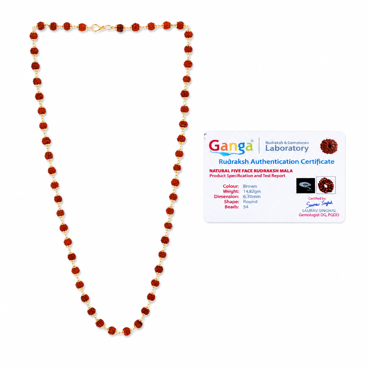 Natural 5 Mukhi Rudraksha Mala (54 Beads) – Certified Rudraksha Prayer Necklace - Image 5